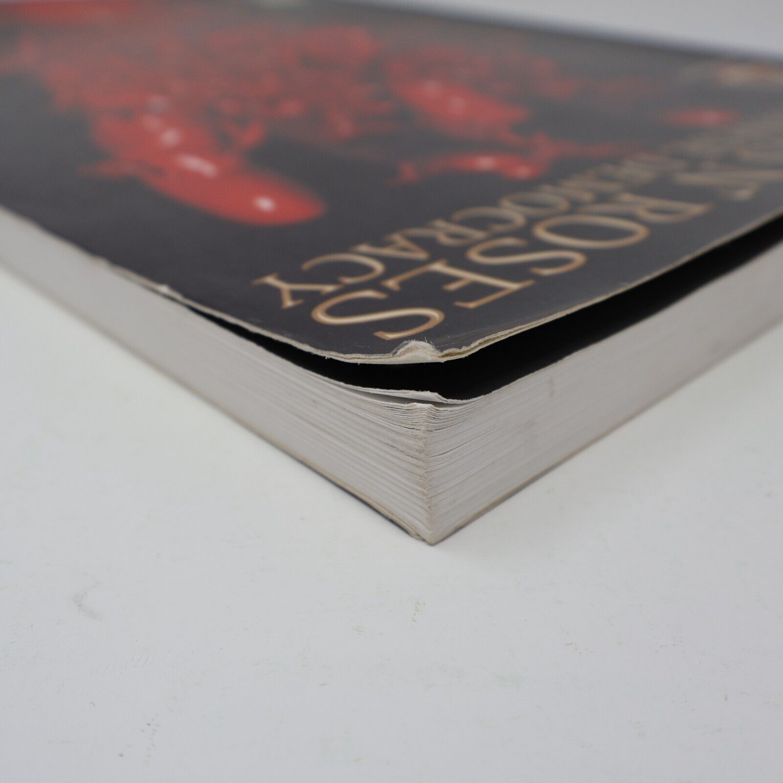 2009 Guns n' Roses Chinese Democracy Songbook Hal Leonard Music Guitar Rock PB
