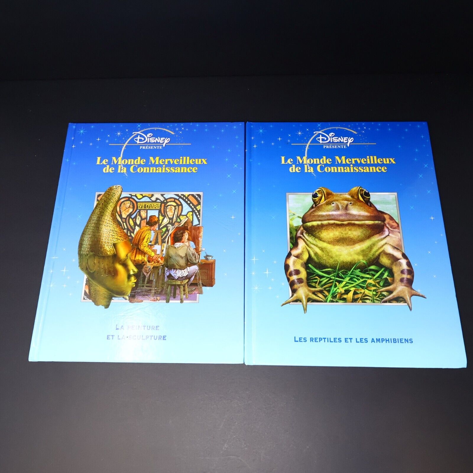Lot 7 Livres Le Monde Merveilleux de la Connaissance Enfants Disney Français HC