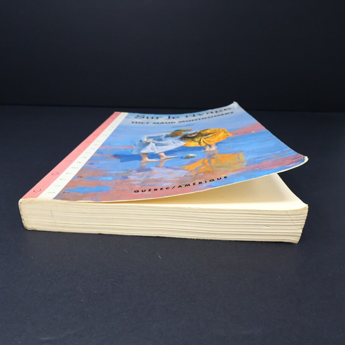 1990 Sur le Rivage de Lucy Maud Montgomery Roman Québec Amérique Français Livre