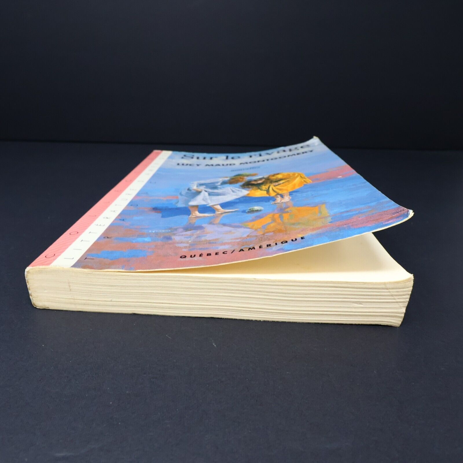 1990 Sur le Rivage de Lucy Maud Montgomery Roman Québec Amérique Français Livre