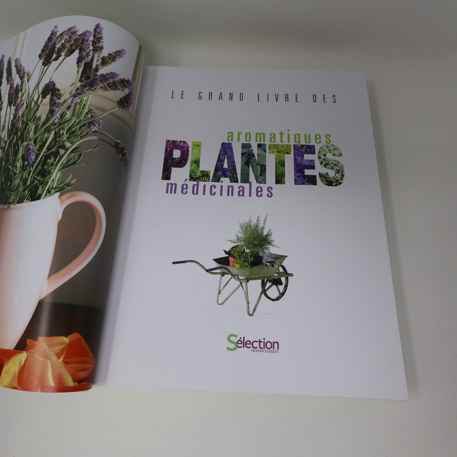 2011 Le Grand Livre des Plantes Aromatiques Médicinales Reader's Digest Cultiver