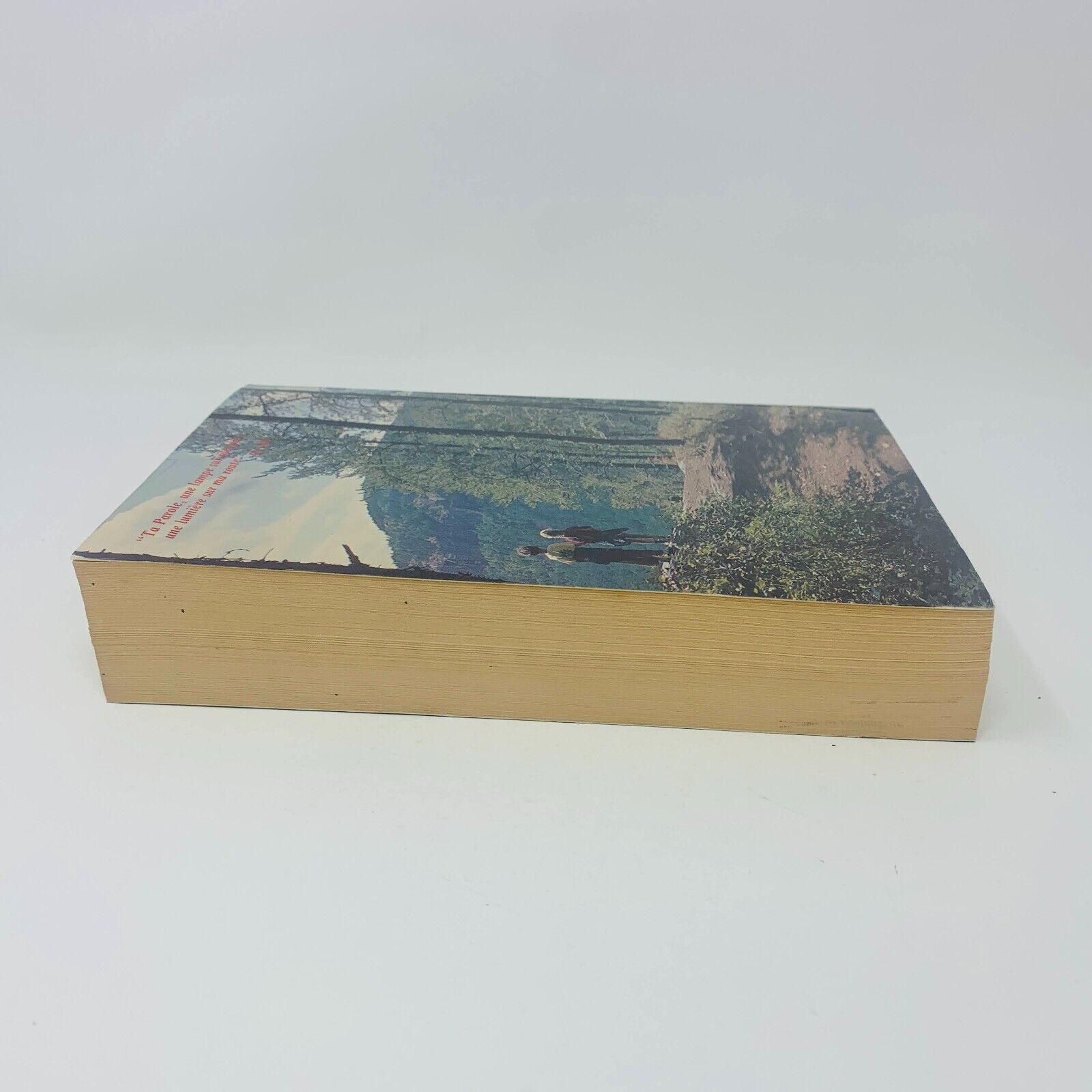 1987 Le Nouveau Testament de la Bible de Jérusalem Anne Sigier / Cerf Français