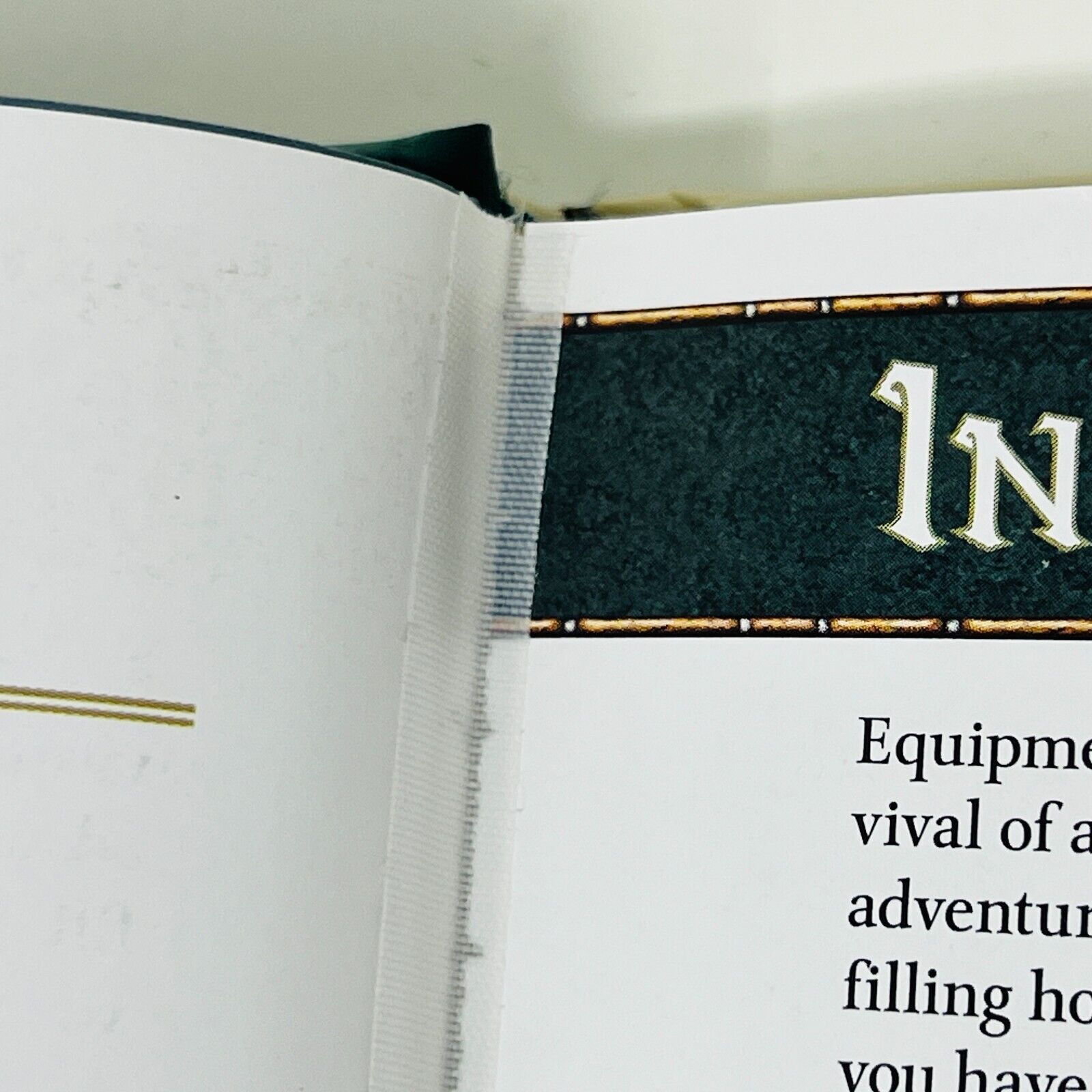 Adventurer's Vault Arms and Equipment for All Classes Dungeons & Dragons D&D 4th