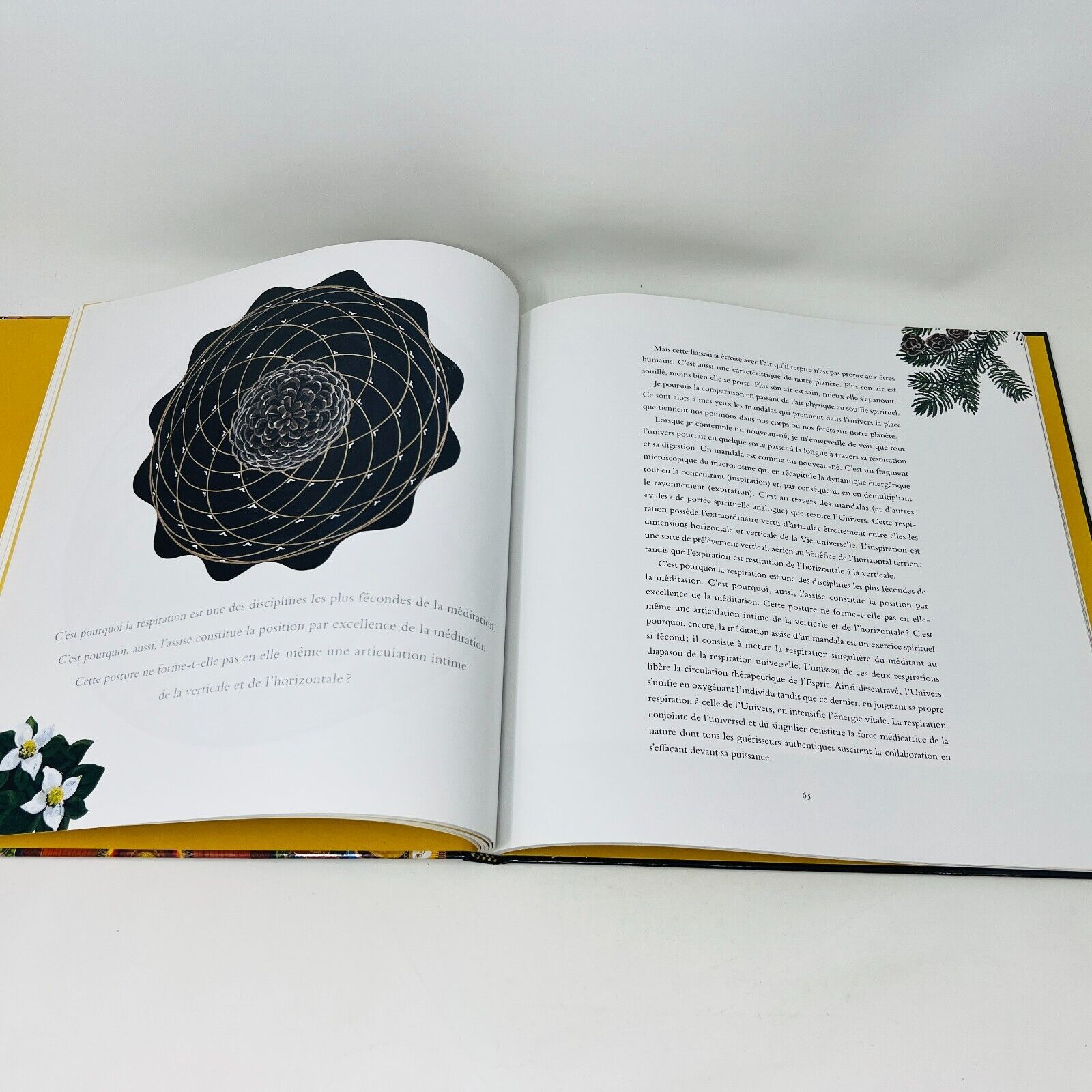 2006 Mandalas Oeuvre de Blanche Paquette Monographie d'Artiste Français Livre HC