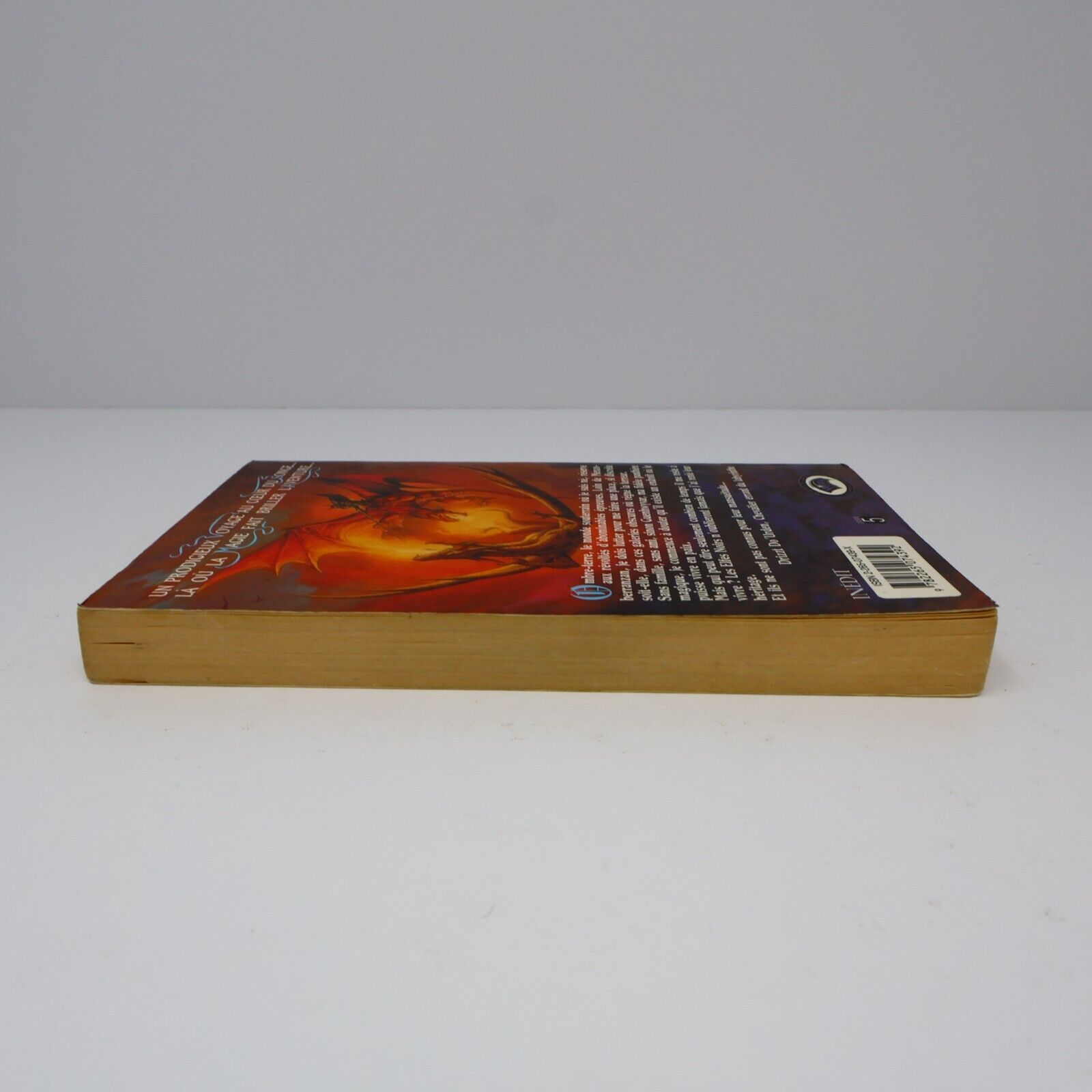 1990 Royaumes Oubliés #5 Terre d'Exil La Trilogie de l'Elfe Noir Fantasy Livre
