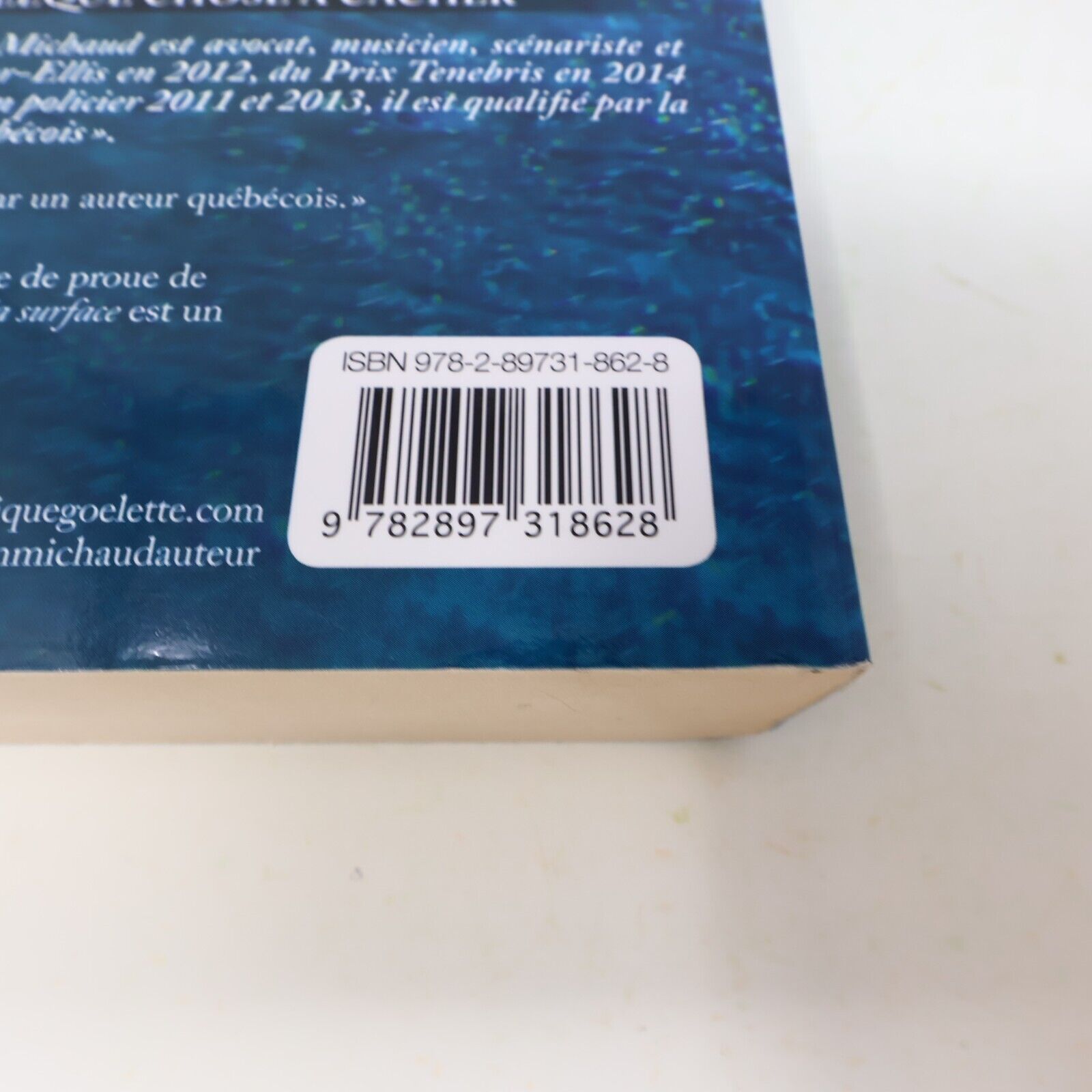 2015 Sous la Surface Martin Michaud Thriller Coup d'Oeil Français Livre 2010s PB