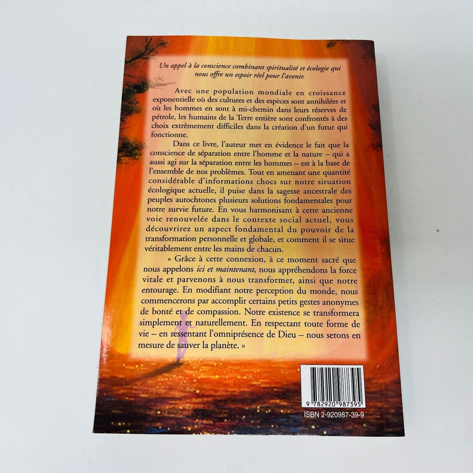 1999 Les Dernières Heures du Soleil Ancestral de Thom Hartmann Français Ariane