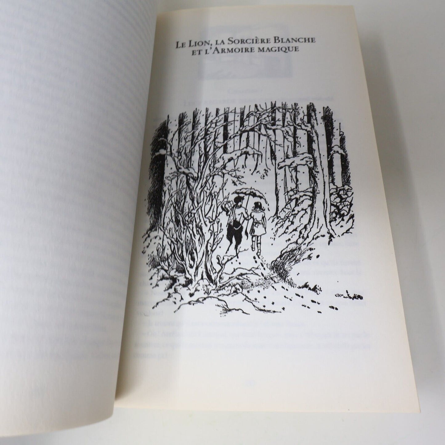 2010 Le Monde de Narnia C. S. Lewis Omnibus Fantasy Illustré Gallimard Français