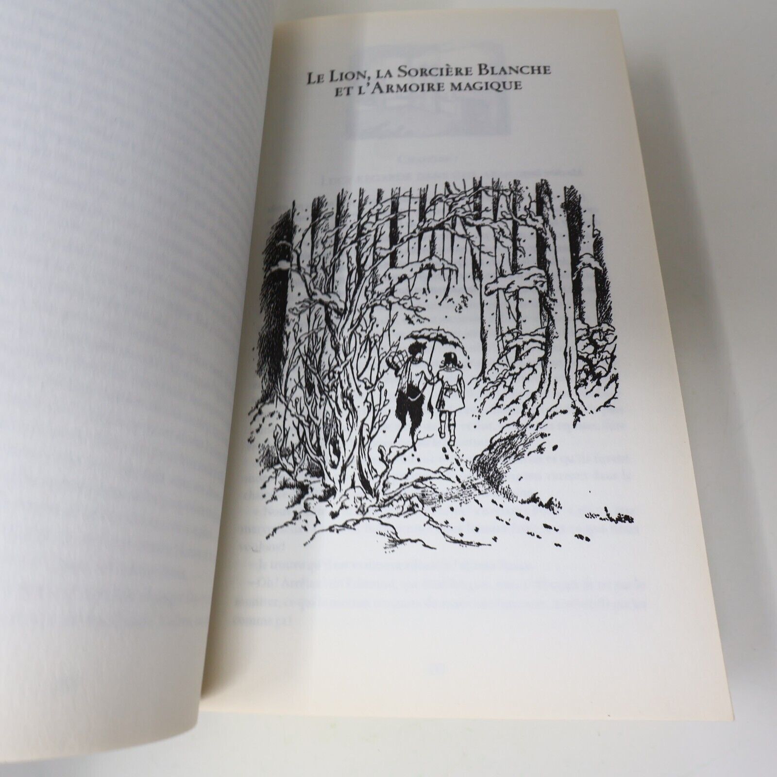 2010 Le Monde de Narnia C. S. Lewis Omnibus Fantasy Illustré Gallimard Français