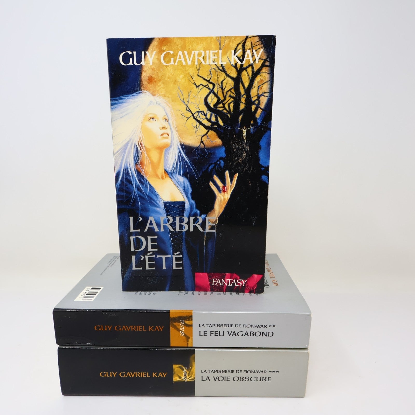La Tapisserie de Fionavar #1-3 Série Complète Lot 3 Livres Guy Gavriel Kay PB