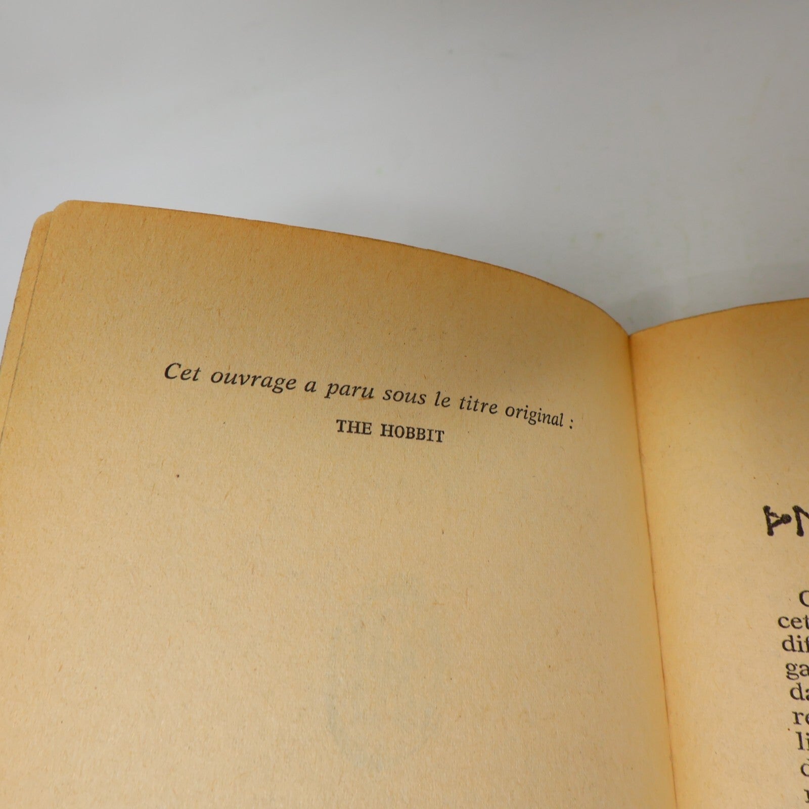 1973 Bilbo le Hobbit J.R.R. Tolkien Fantasy LOTR J'ai Lu Français Livre 70s PB