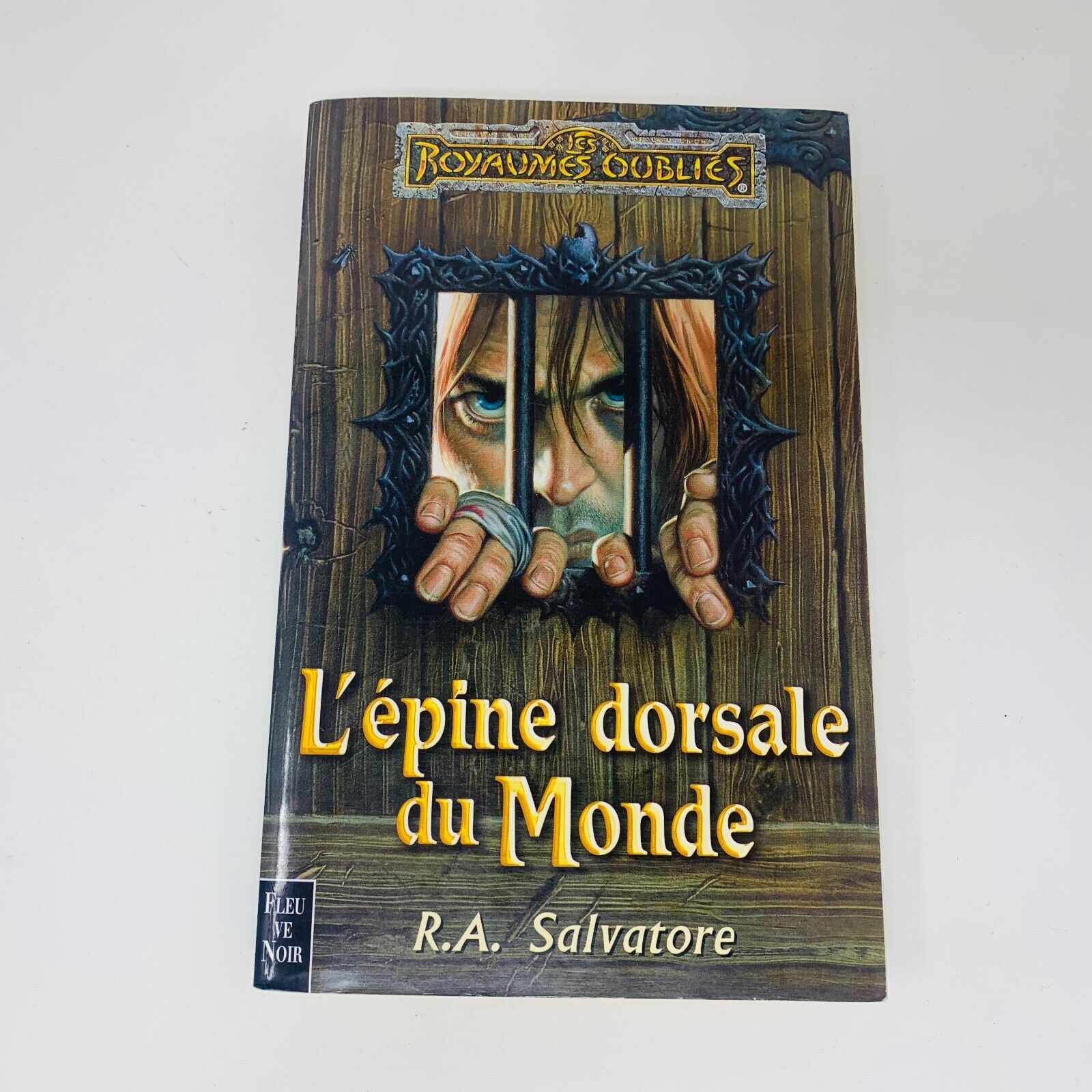 La Séquence d'Ombre-Terre #1 & 4 Grand Format Lot Royaumes Oubliés Fleuve Noir