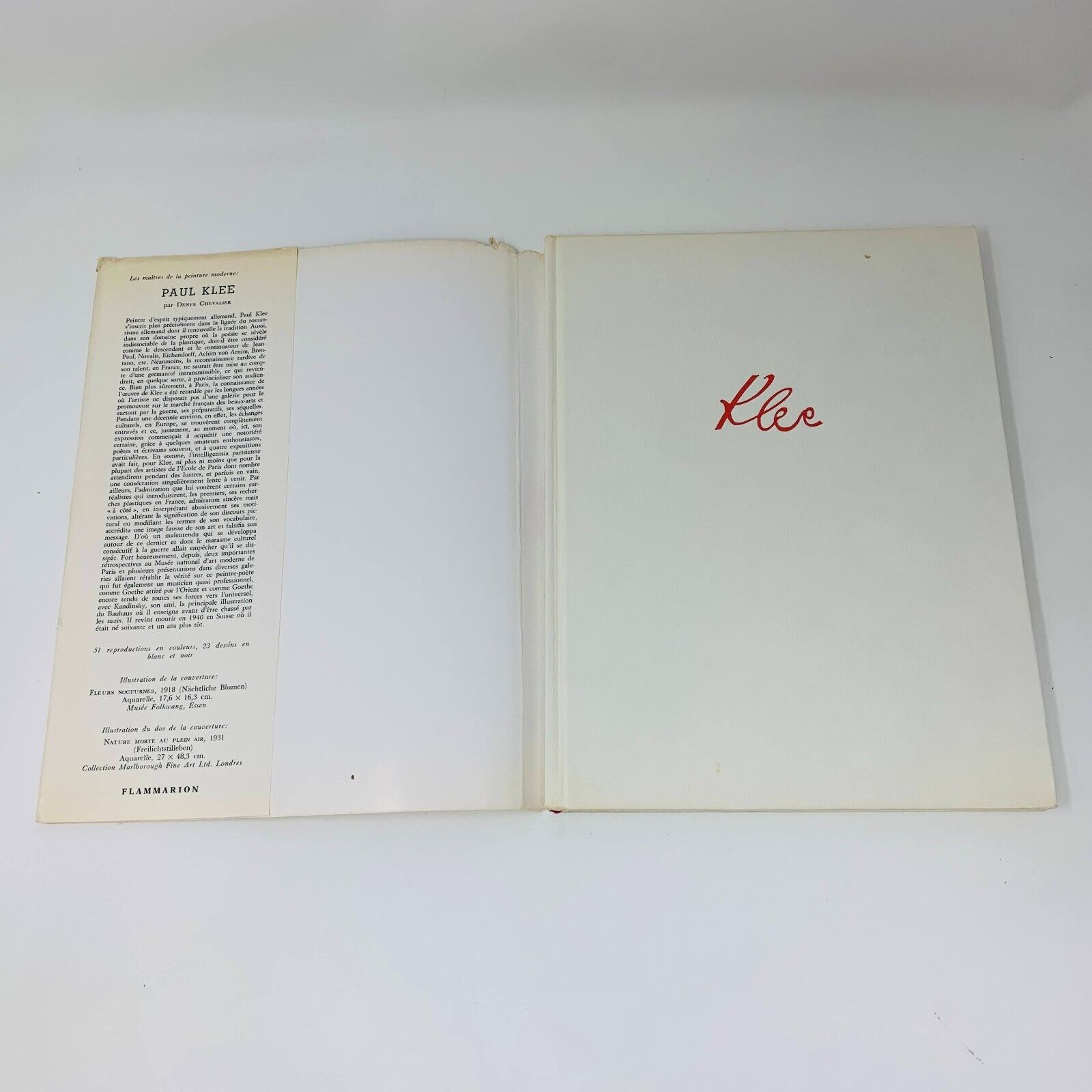 1971 Paul Klee par Denys Chevalier Flammarion Français/French Art Peinture HC DJ