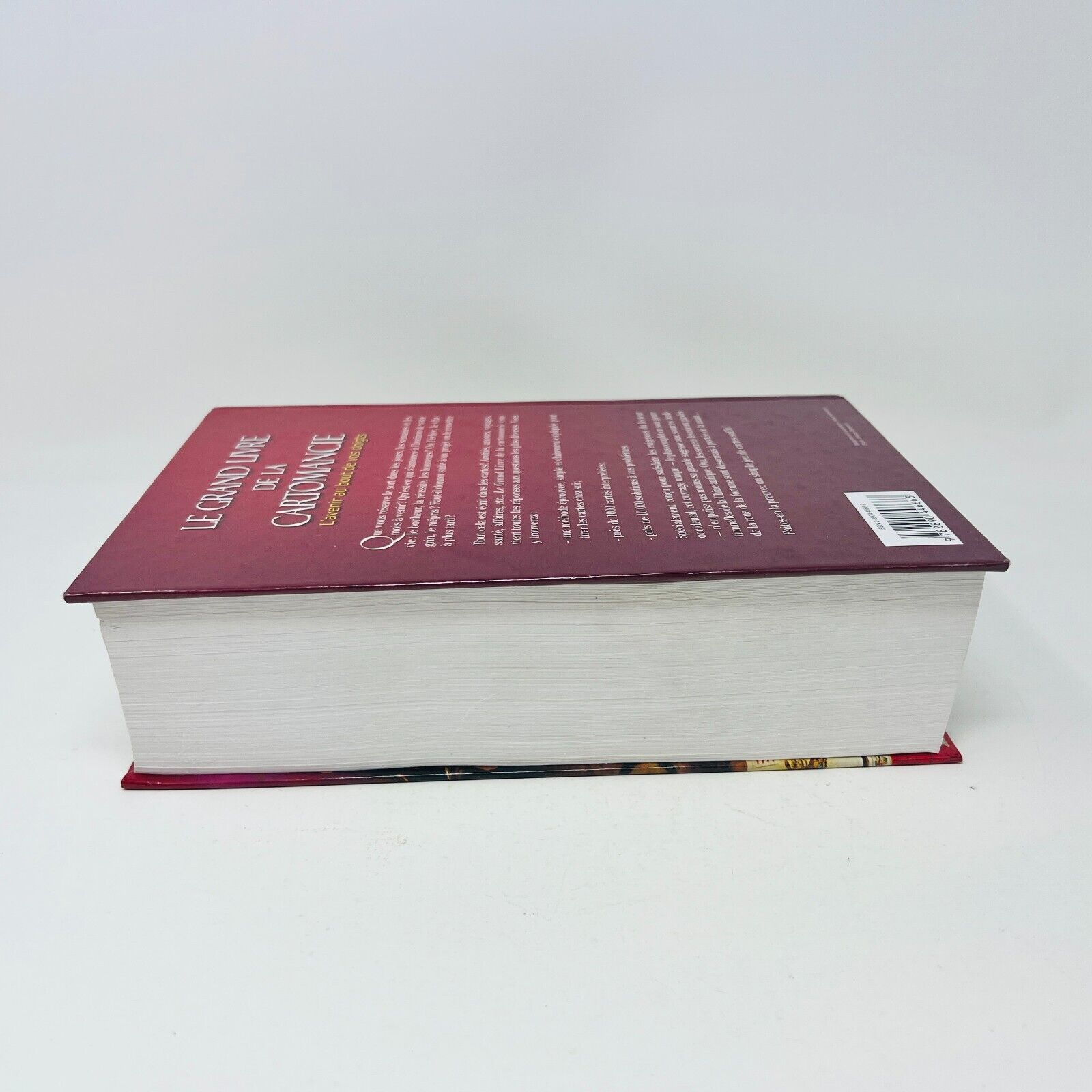 1999 Le Grand Livre de la Cartomancie de Gerhard von Lentner en Français Avenir