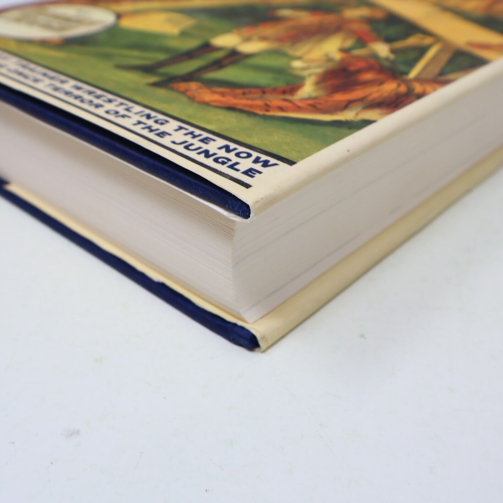 2001 The Final Confession of Mabel Stark A Novel Circus Tiger Trainer 1st Print