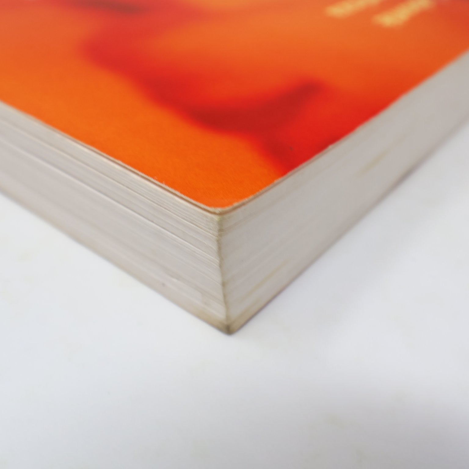 Guérir grâce à nos images intérieures Labonté/Bornemisza 2006 Psychologie PB