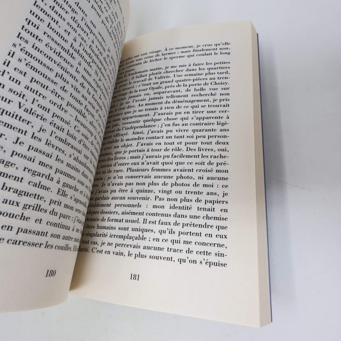 Michel Houellebecq Lot 2 Livres Les Particules Élémentaires/Plateforme Français