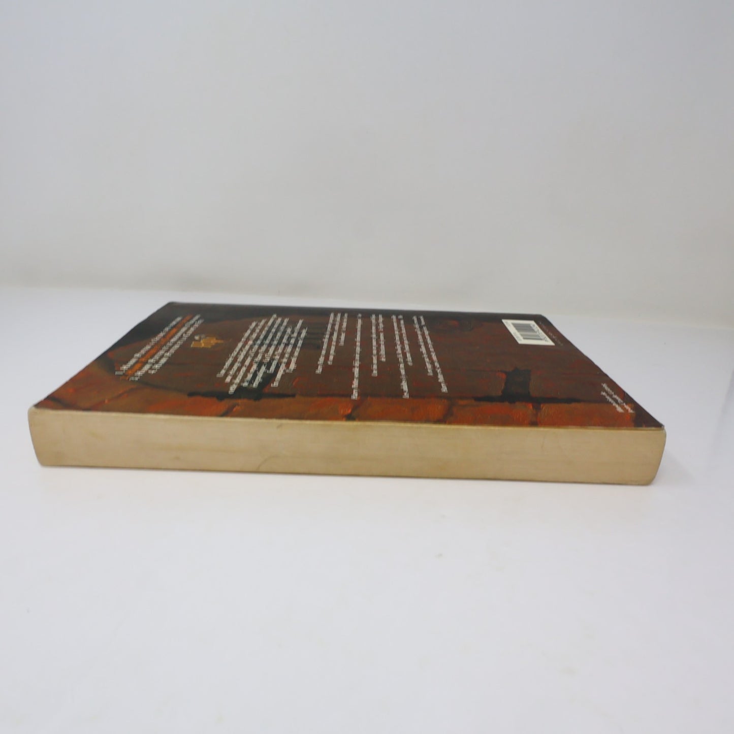 Harry Potter et la Chambre des Secrets J.K. Rowling 2001 PB Grand Format Livre