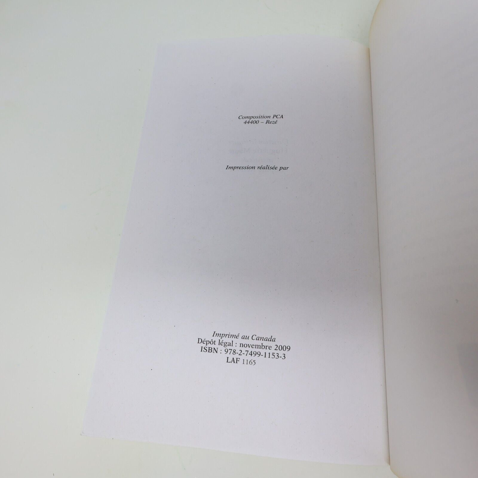 2009 Mots de Tête Diane Dufresne Biographie Musique Chanson Michel Lafon Livre