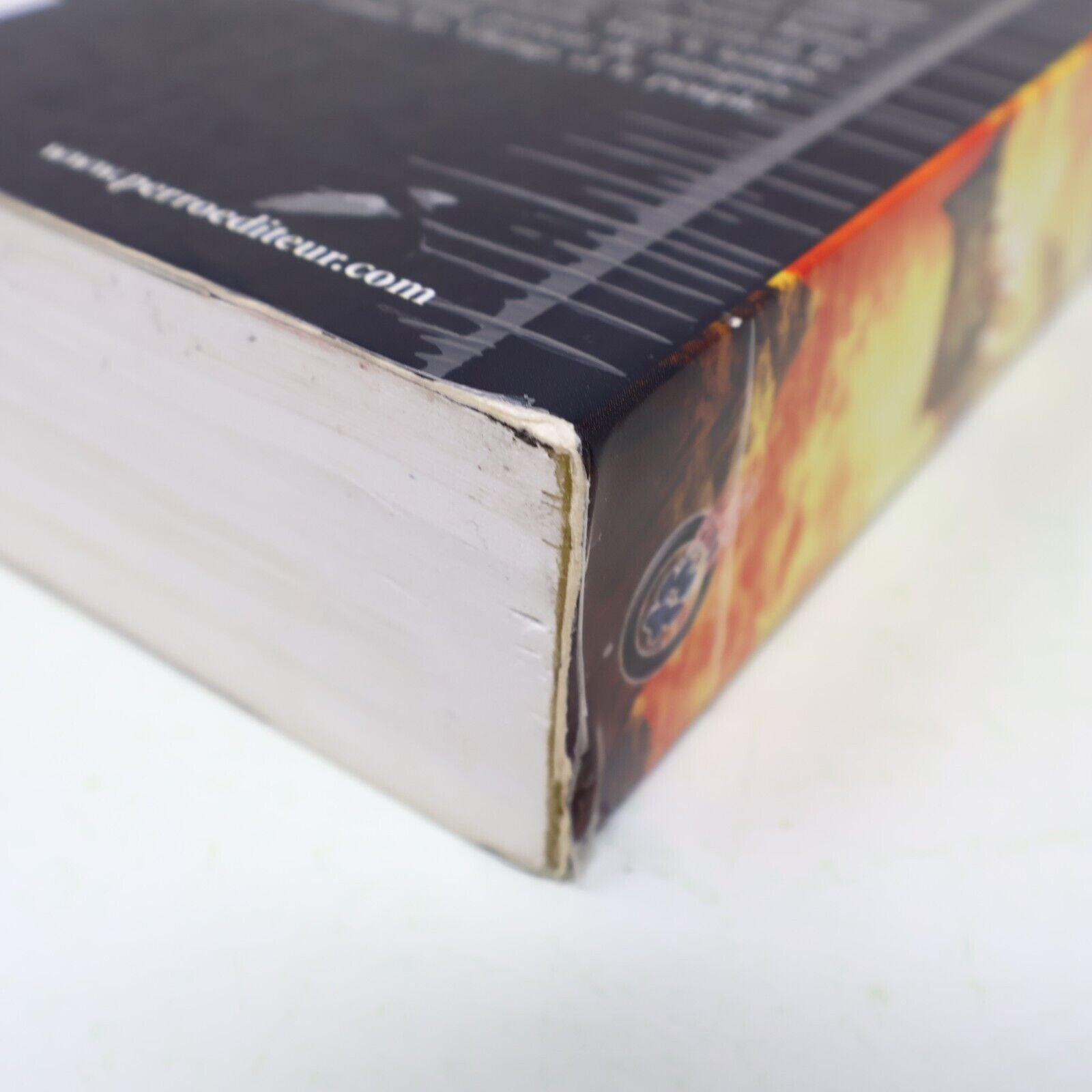 Amos Daragon Trilogie #1 Omnibus Fantasy Ados Bryan Perro 2012 Français Livre PB