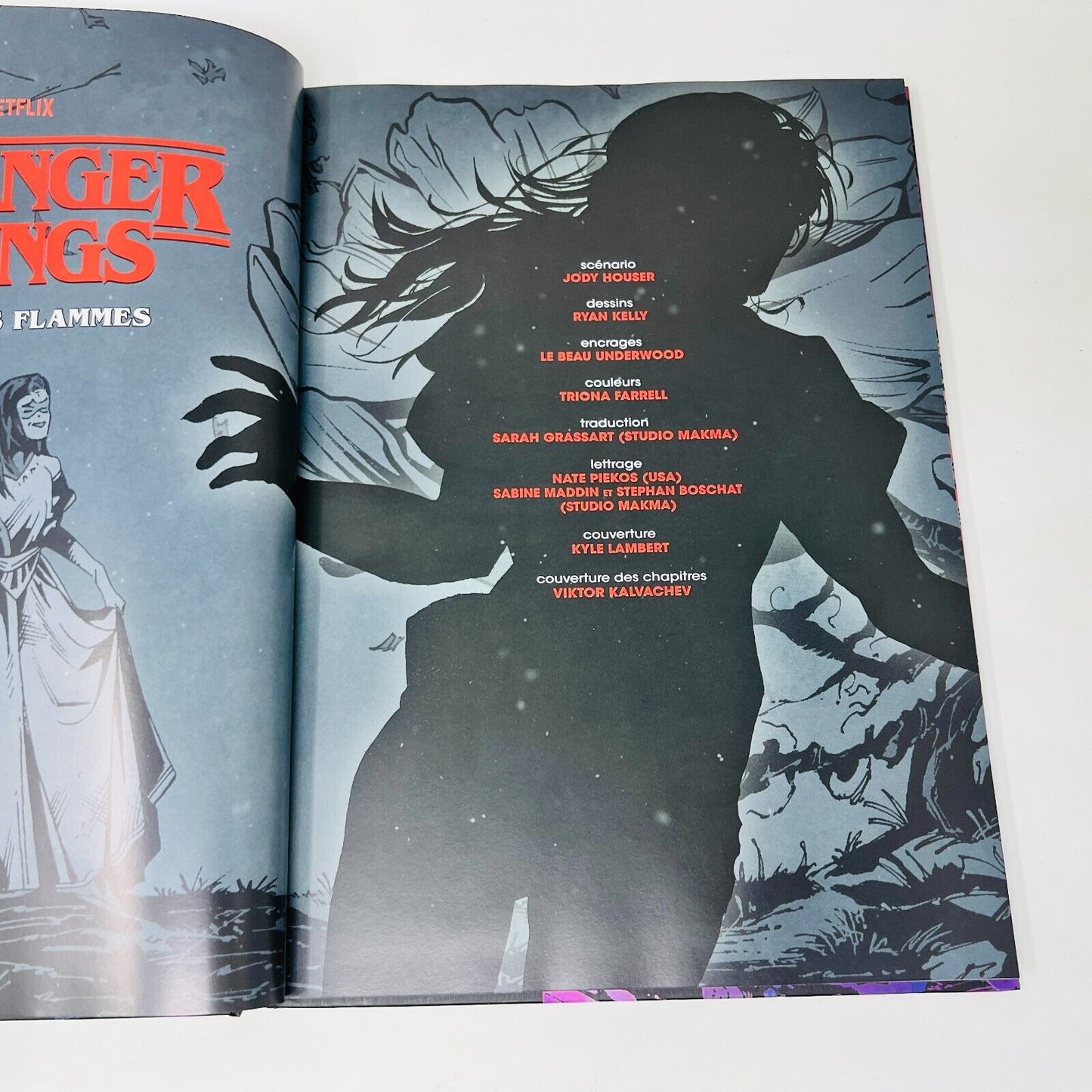 2020 Stranger Things Dans les Flammes en Français/French Bande Dessinée HC Mana
