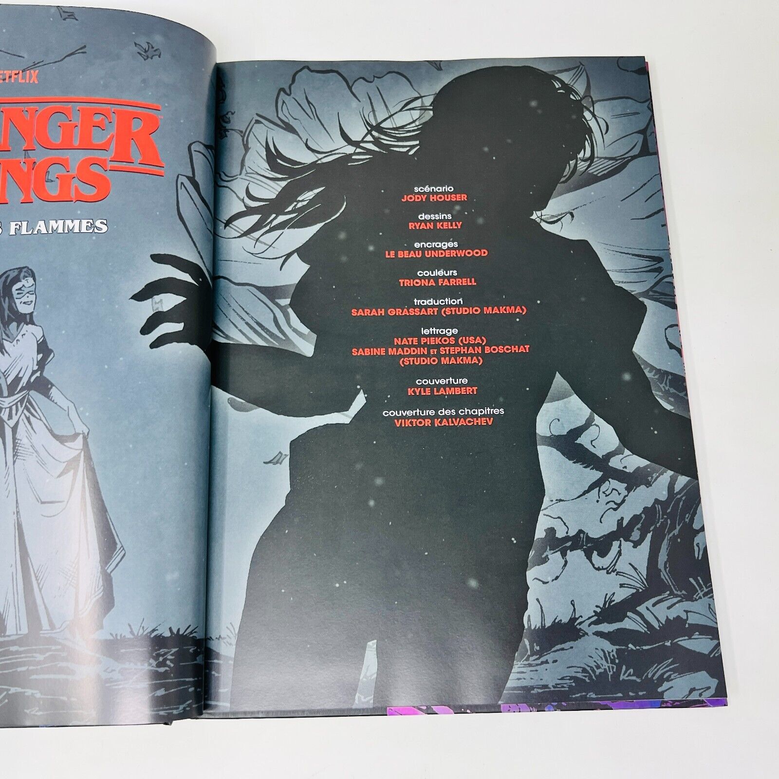 2020 Stranger Things Dans les Flammes en Français/French Bande Dessinée HC Mana