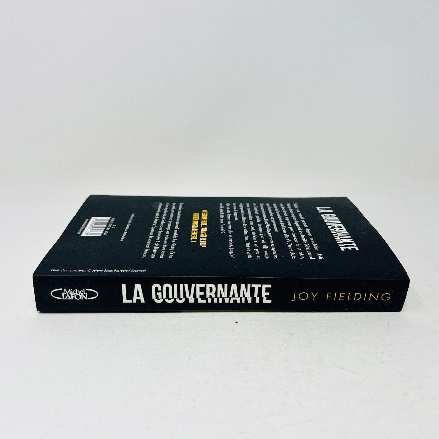 2022 La Gouvernante de Joy Fielding Mystère Thriller Français Livre Michel Lafon