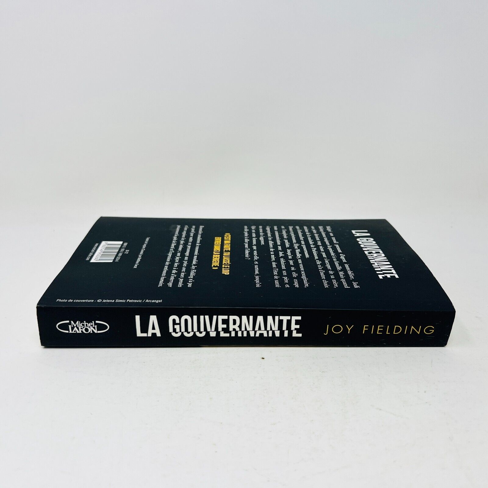 2022 La Gouvernante de Joy Fielding Mystère Thriller Français Livre Michel Lafon