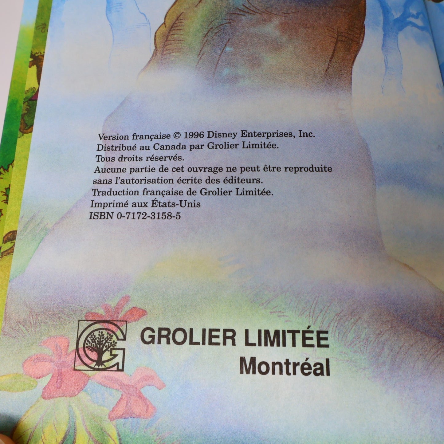 Mickey Club du Livre Lot 15 Livres Le Livre de la Jungle/Bambi Grolier Enfants