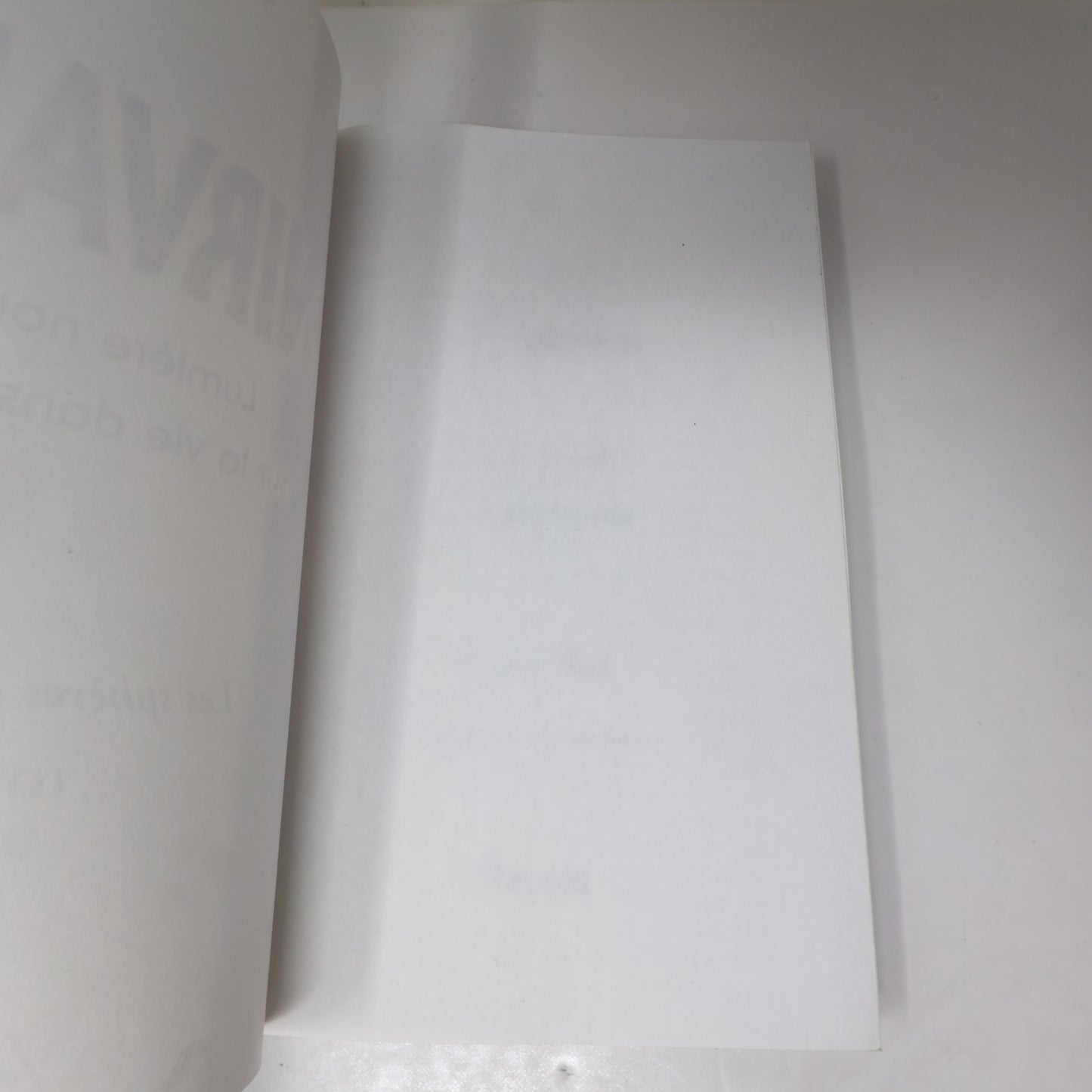 Nirvana Lumière Nouvelle sur la Vie dans l'Au-Delà Suzanne Ward Arianne 2005 PB