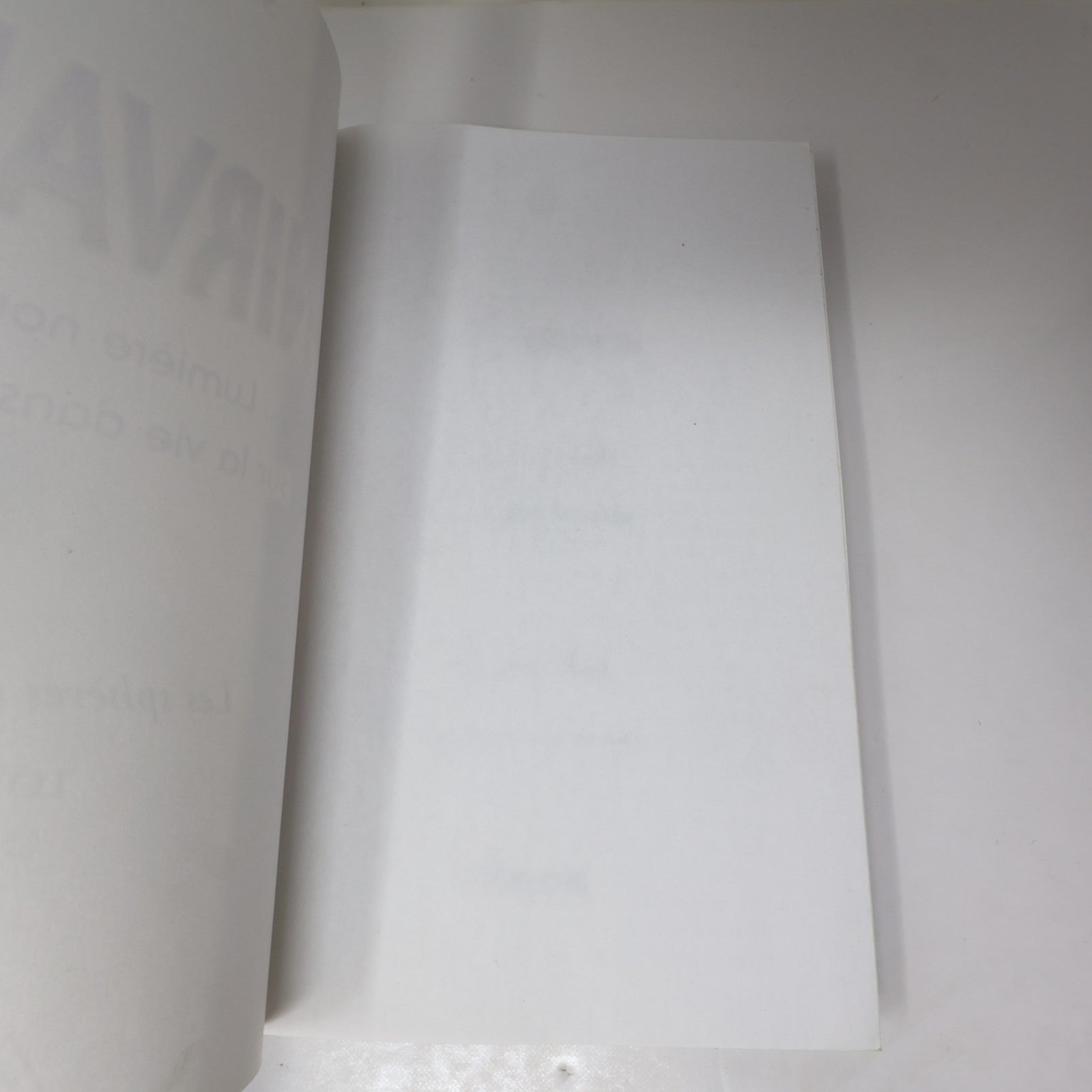 Nirvana Lumière Nouvelle sur la Vie dans l'Au-Delà Suzanne Ward Arianne 2005 PB
