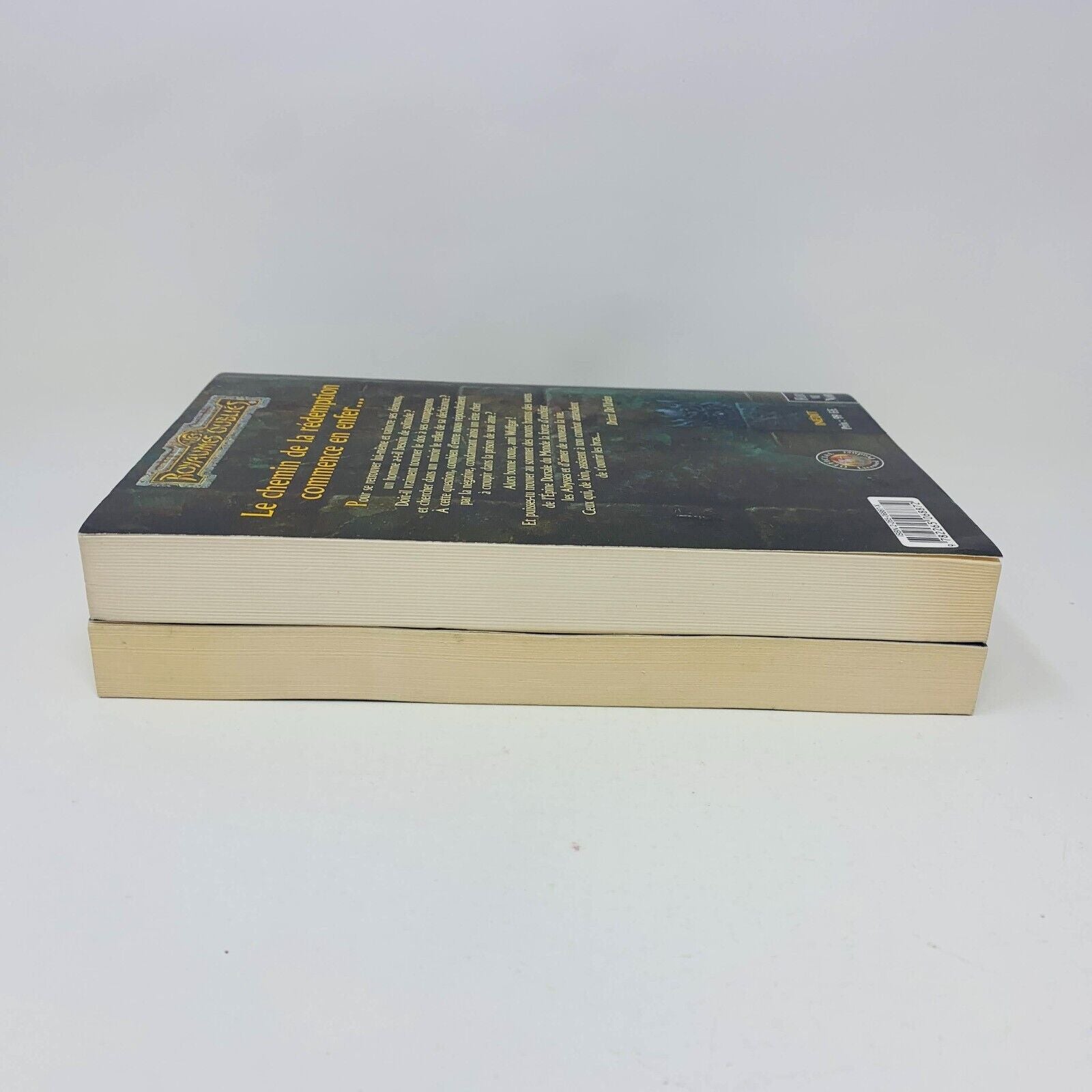 La Séquence d'Ombre-Terre #1 & 4 Grand Format Lot Royaumes Oubliés Fleuve Noir