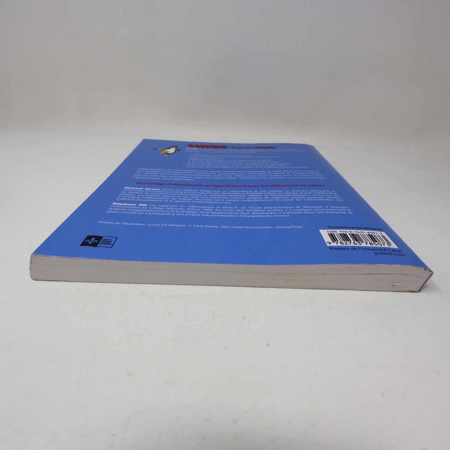 2007 Linux pour Tous Stéphane Gill Mohand Atroun Informatique Programmation PB