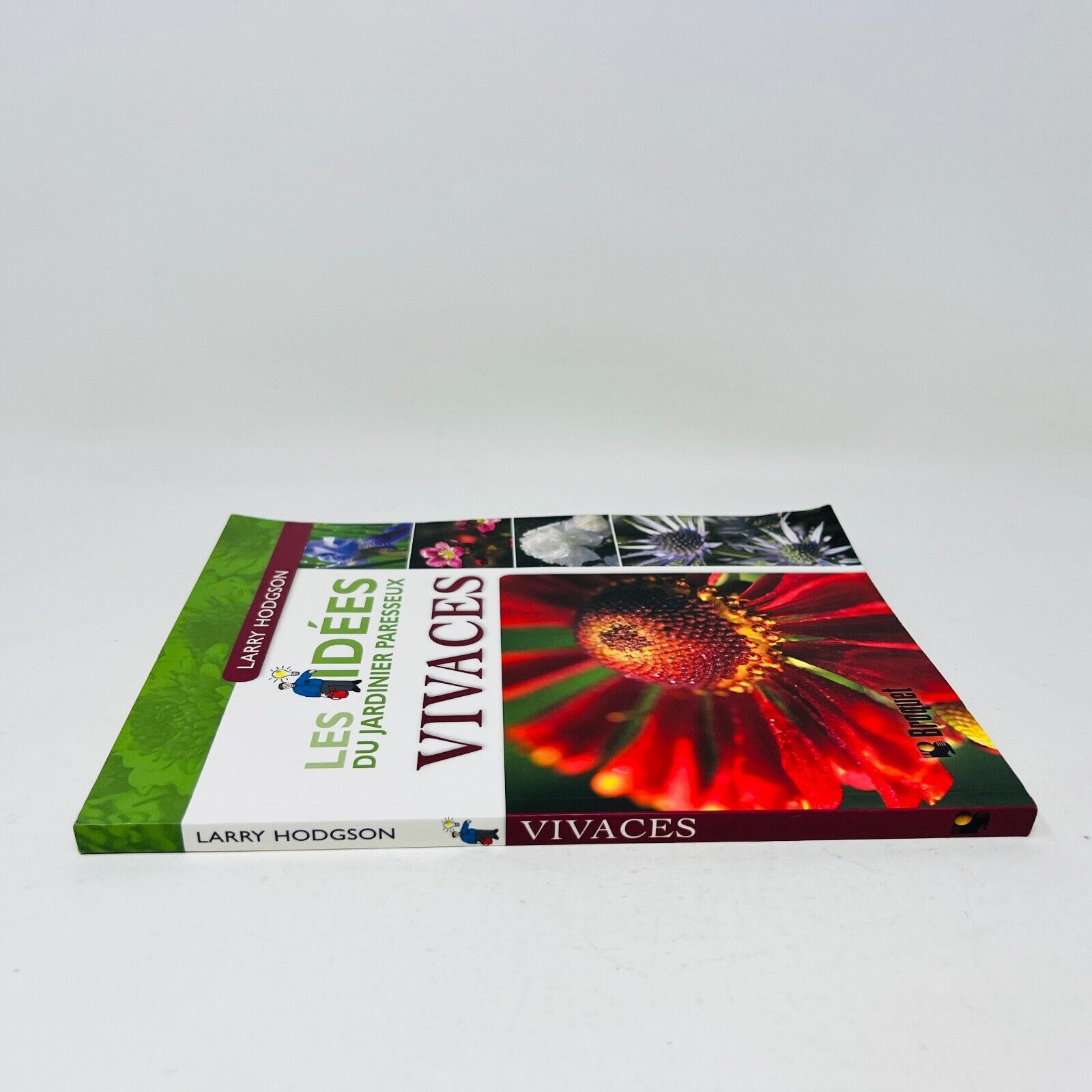 2007 Vivaces Les Idées du Jardinier Paresseux de Larry Hodgson Livre Broquet