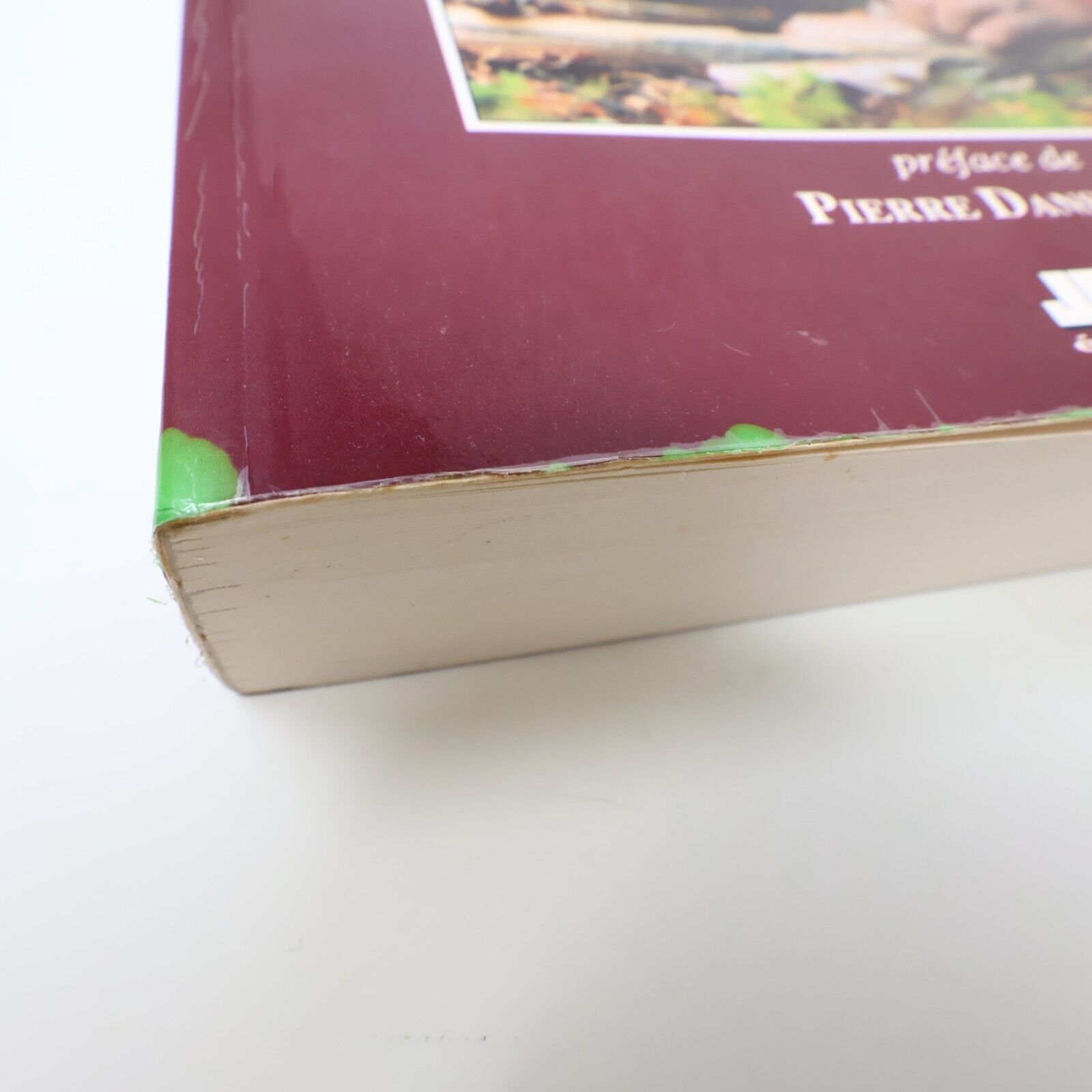 1988 Surviethon au Gré de la Nature André-François Bourbeau Jcl Survivalisme PB
