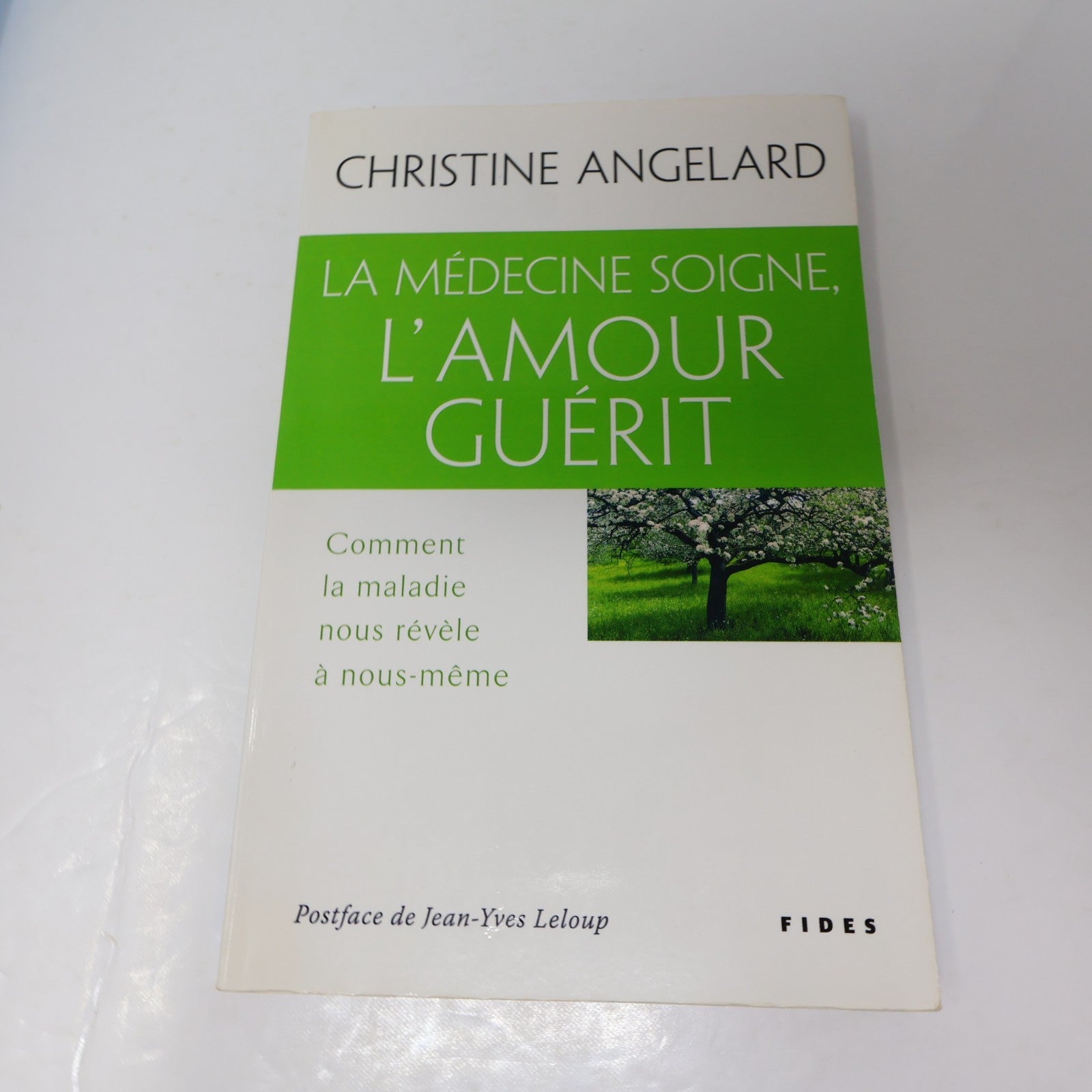 Santé Guérison Médecines Alternatives Lot 5 Livres Français Rankin/Angelard PB