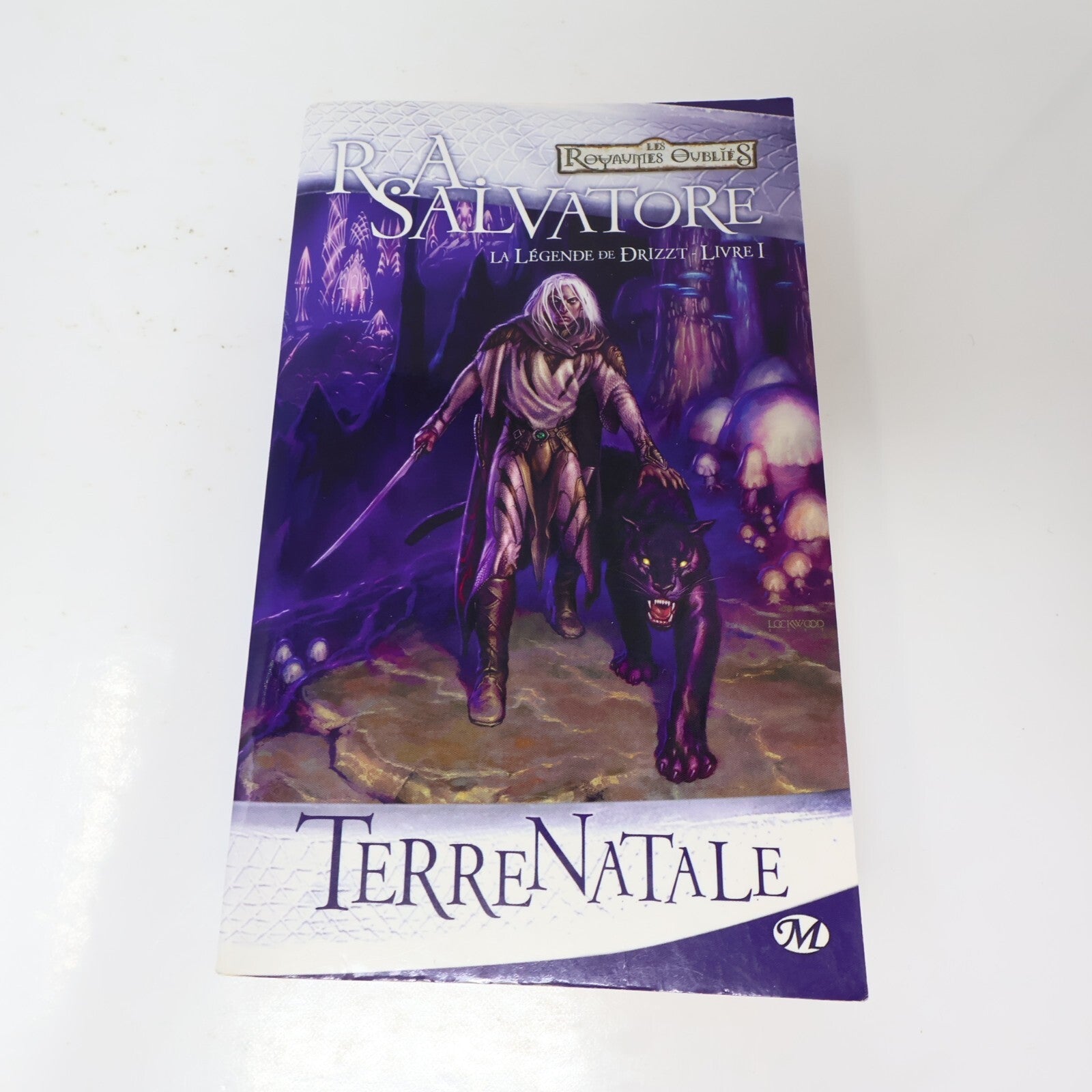 La Légende de Drizzt #1-3 Royaumes Oubliés Lot 3 Livres R.A. Salvatore Français