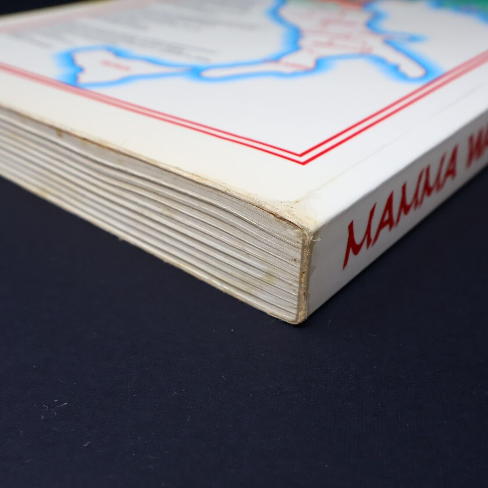 1990 Mamma Wanda Cuisine Italienne Recettes Authentiques de Wanda Calcagni Livre