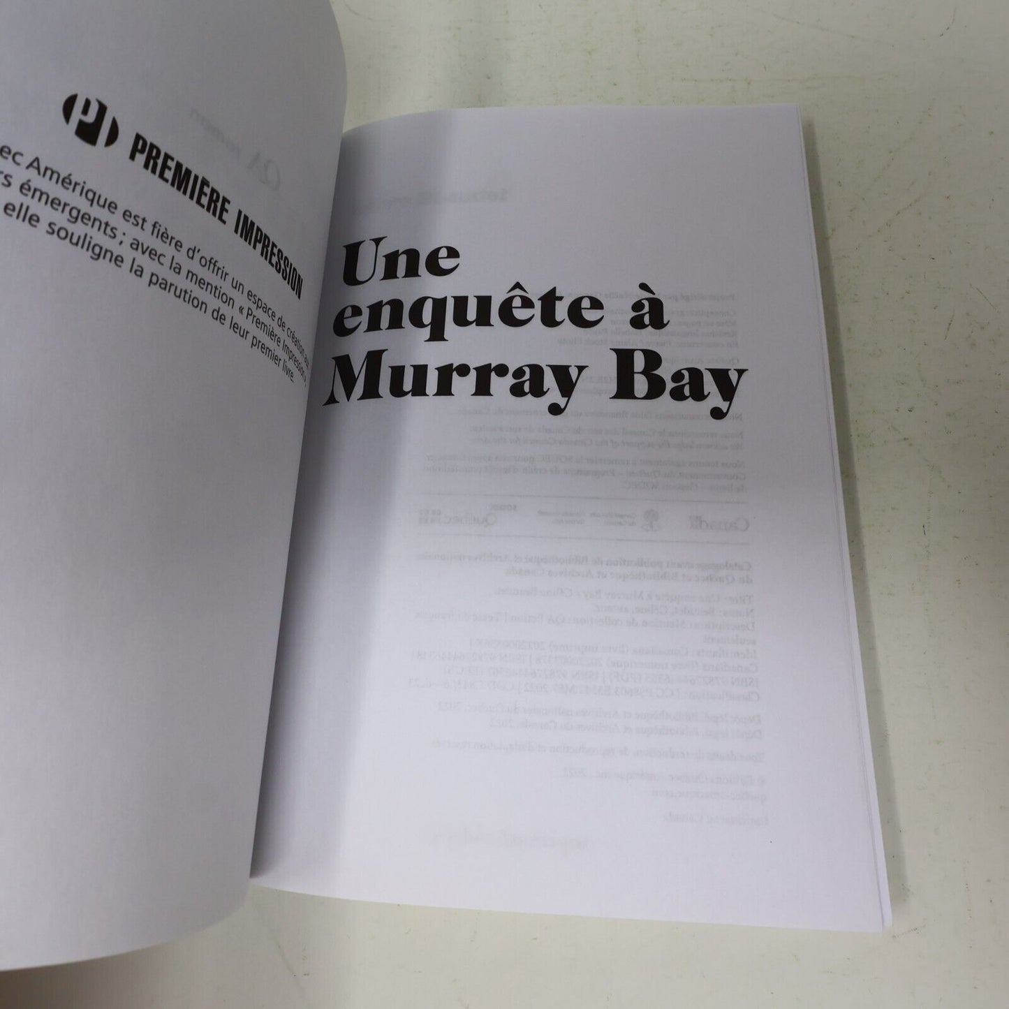 2022 Une Enquête à Murray Bay Céline Beaudet Roman Policier Québec Français PB
