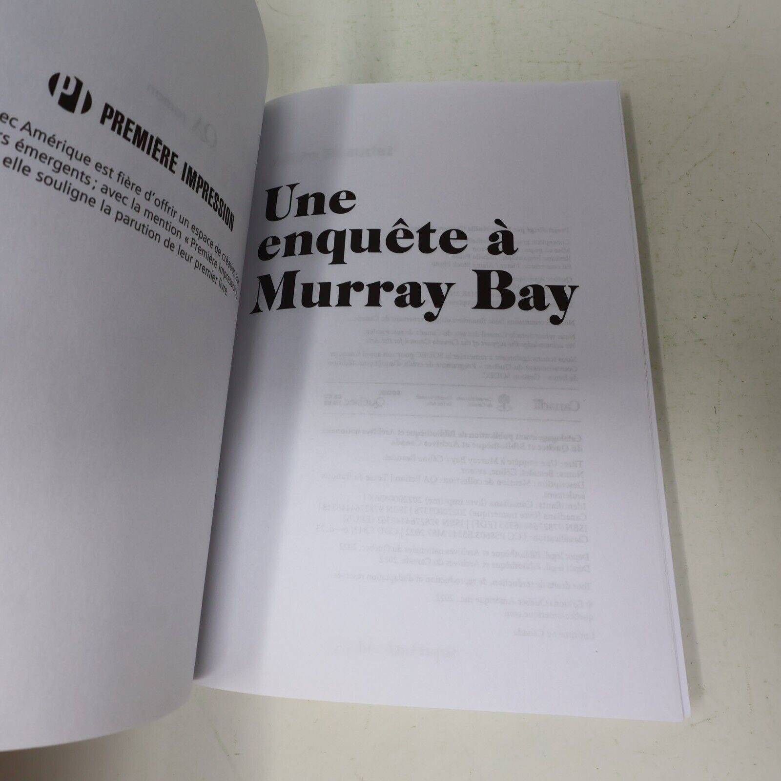 2022 Une Enquête à Murray Bay Céline Beaudet Roman Policier Québec Français PB
