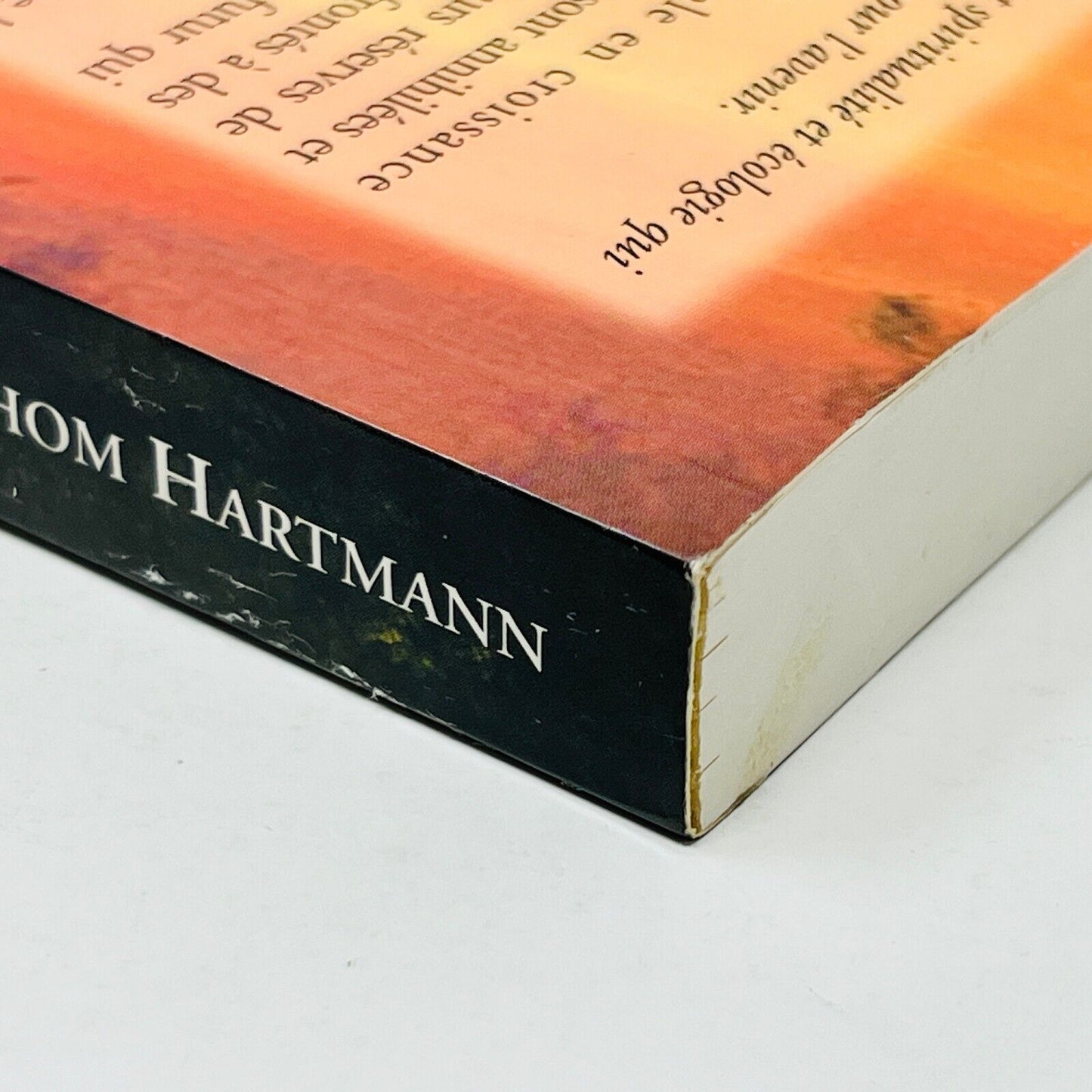 1999 Les Dernières Heures du Soleil Ancestral de Thom Hartmann Français Ariane