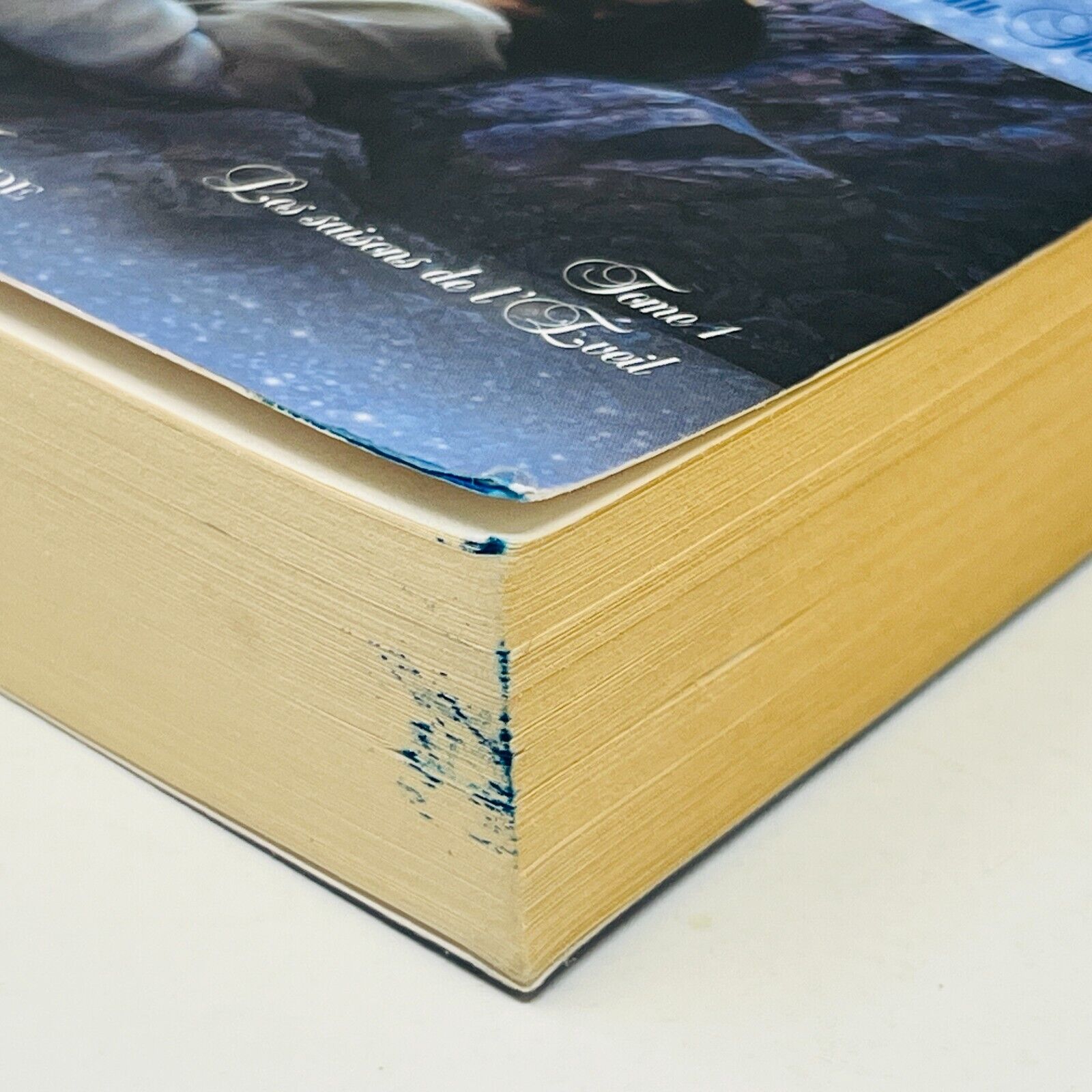 2015 Le livre Secret de Jeshua la Vie Cachée de Jésus Daniel Meurois Passe-Monde