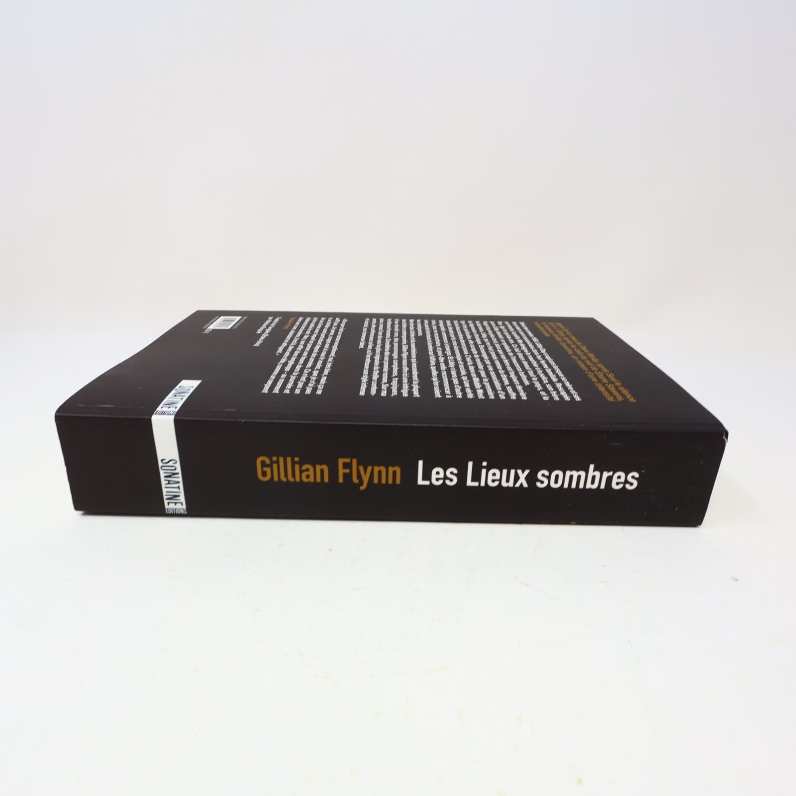 2009 Les Lieux Sombres Gillian Flynn Sonatine Crime et Mystère Policier Thriller