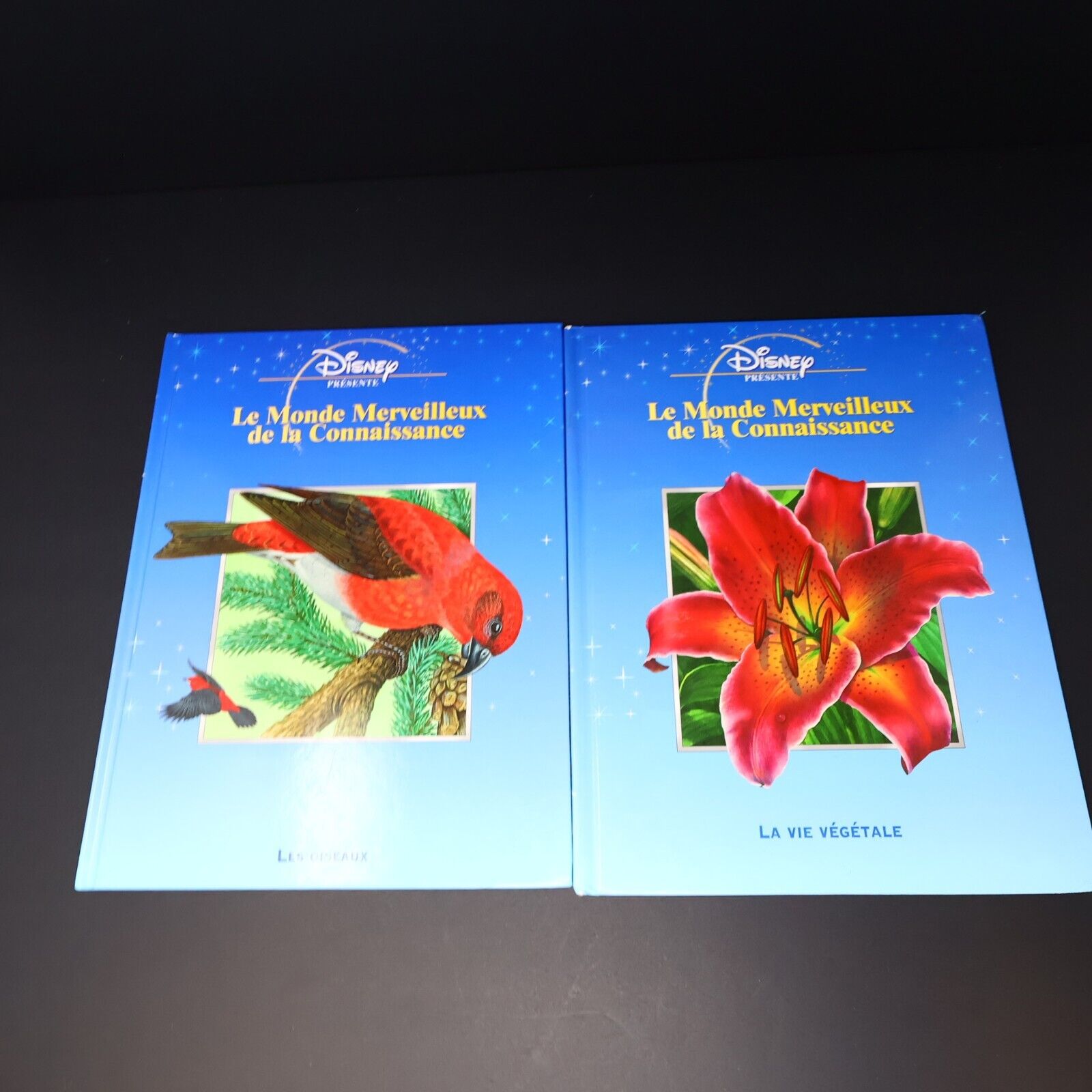 Lot 7 Livres Le Monde Merveilleux de la Connaissance Enfants Disney Français HC