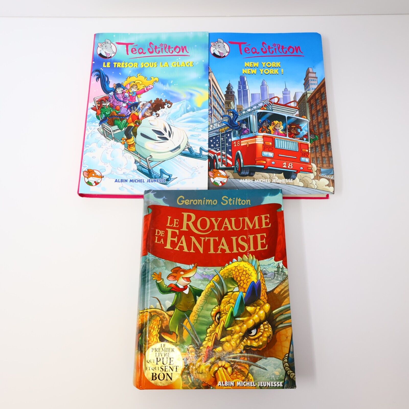 Lot 8 Livres Geronimo/Téa Stilton Stilton Jeunes Enfants Albin Michel Français