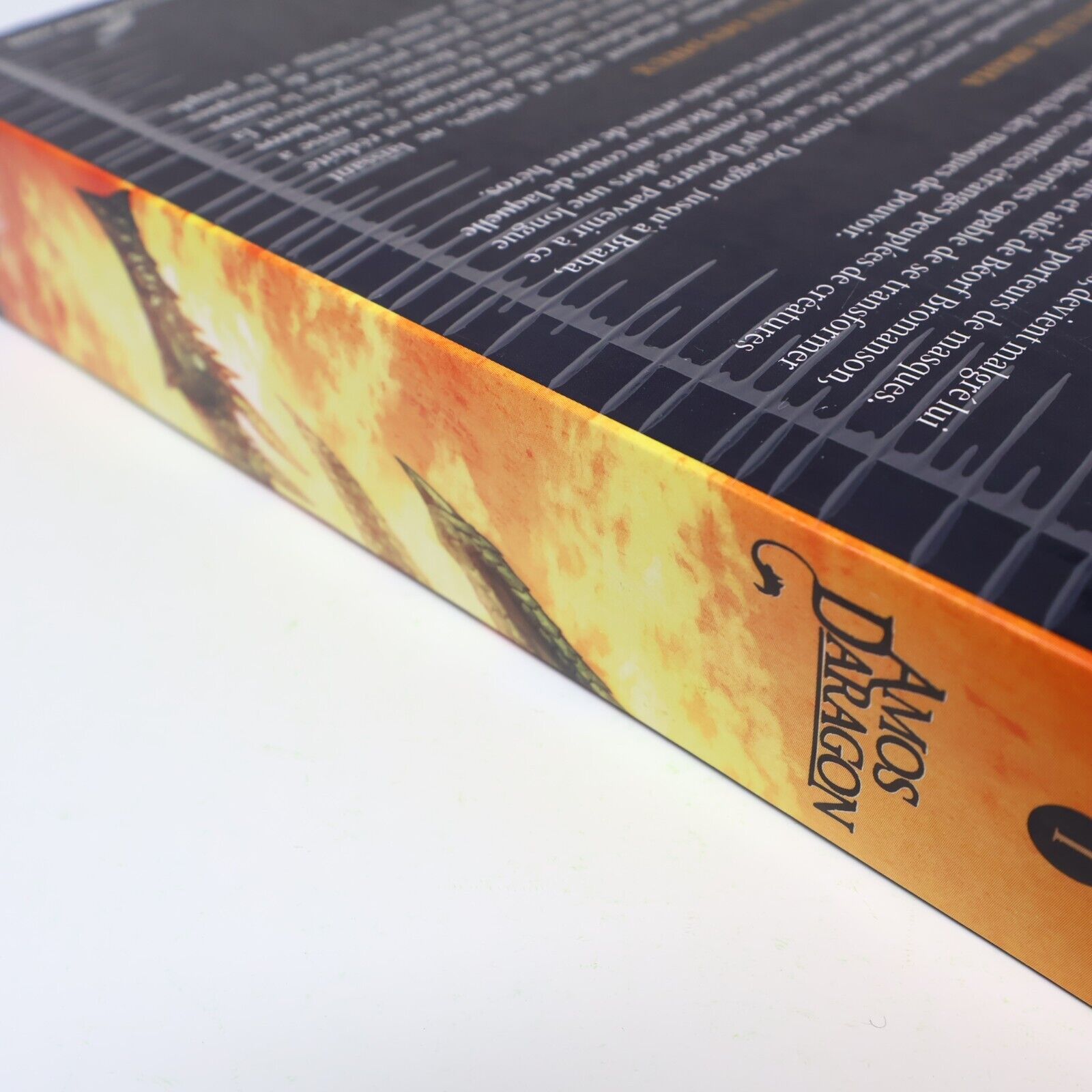 Amos Daragon Trilogie #1 Omnibus Fantasy Ados Bryan Perro 2012 Français Livre PB