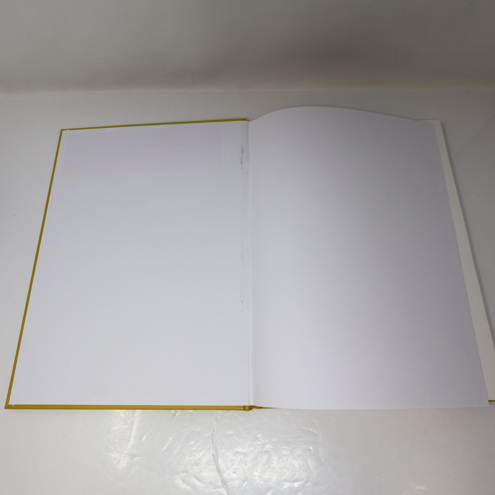 Dragan Art Monographie d'Artiste 1995 HC Galerie Jeannine Blais Hardcover Book