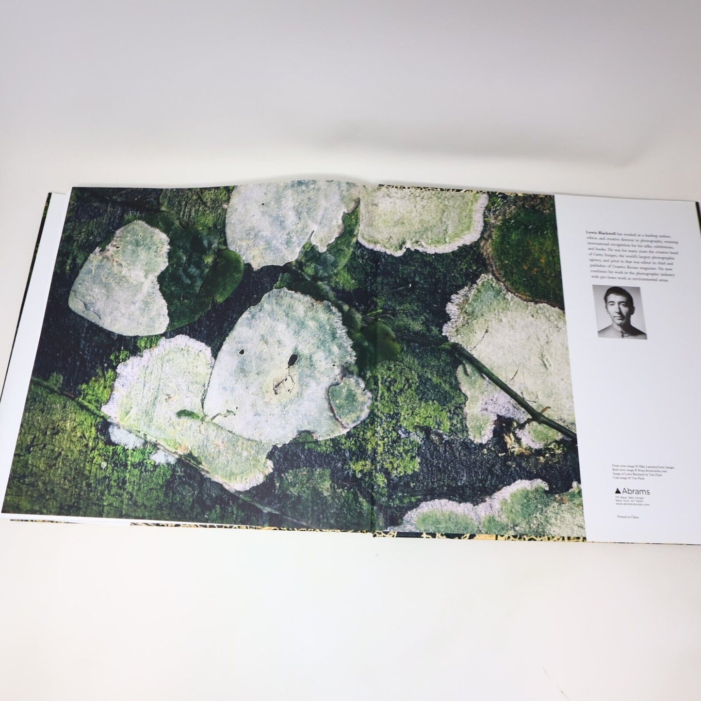 2014 Rainforest by Lewis Blackwell Nature Photos Harry N. Abrams Book Hardcover