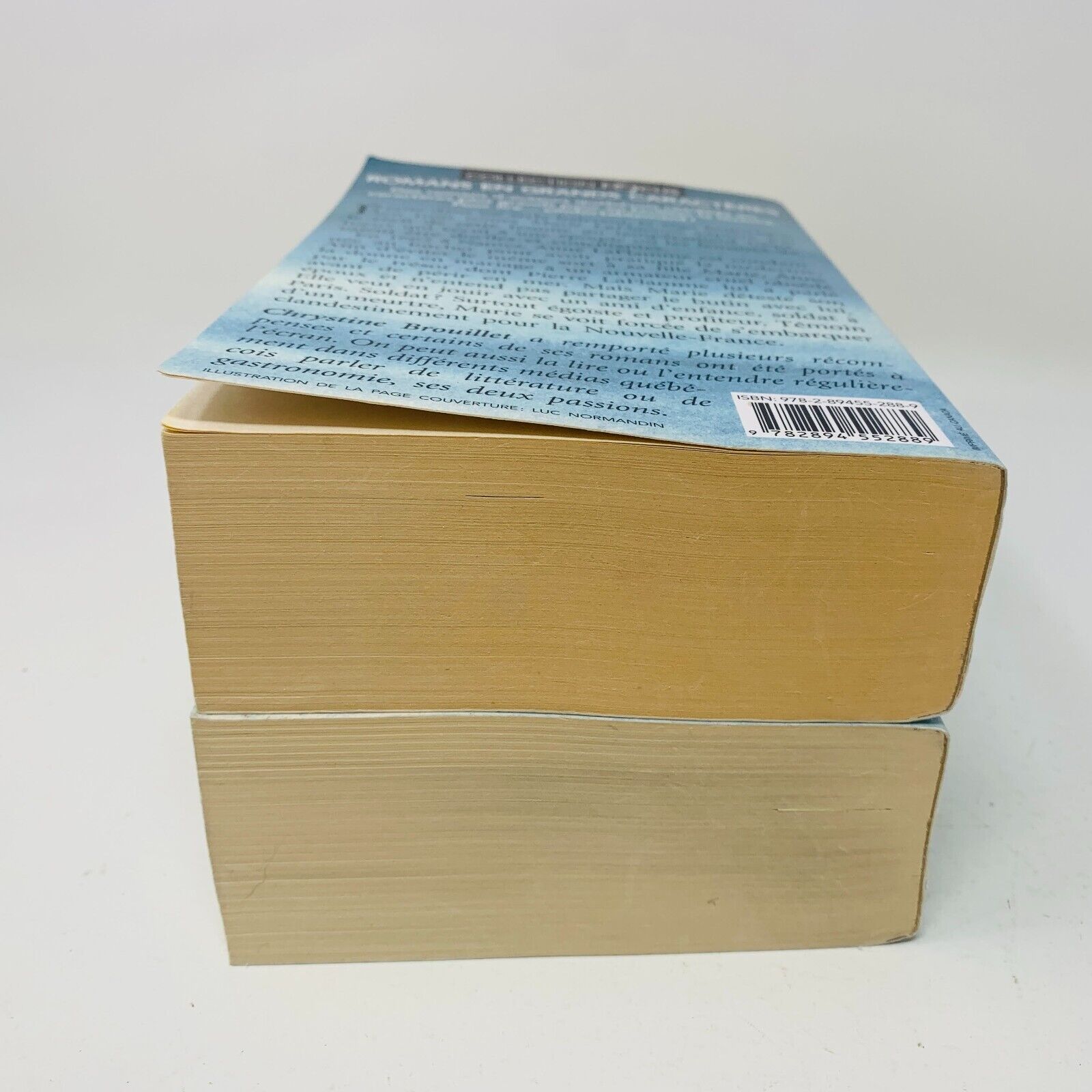 Marie Laflamme Tomes 1-2 Romans en Grands Caractères Chrystine Brouillet Lot