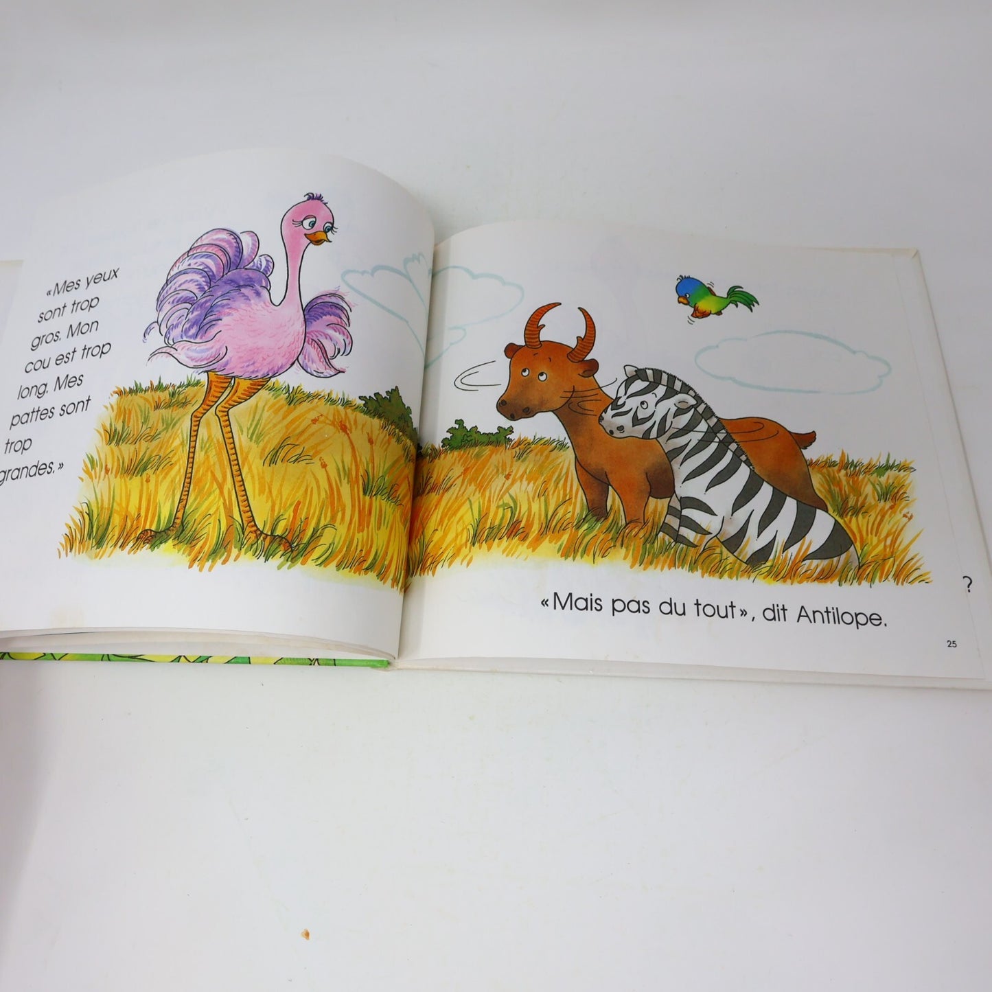 Lot 14 Le Château Magique du Livre Jane Belk Moncure Livres Enfants Français 80s